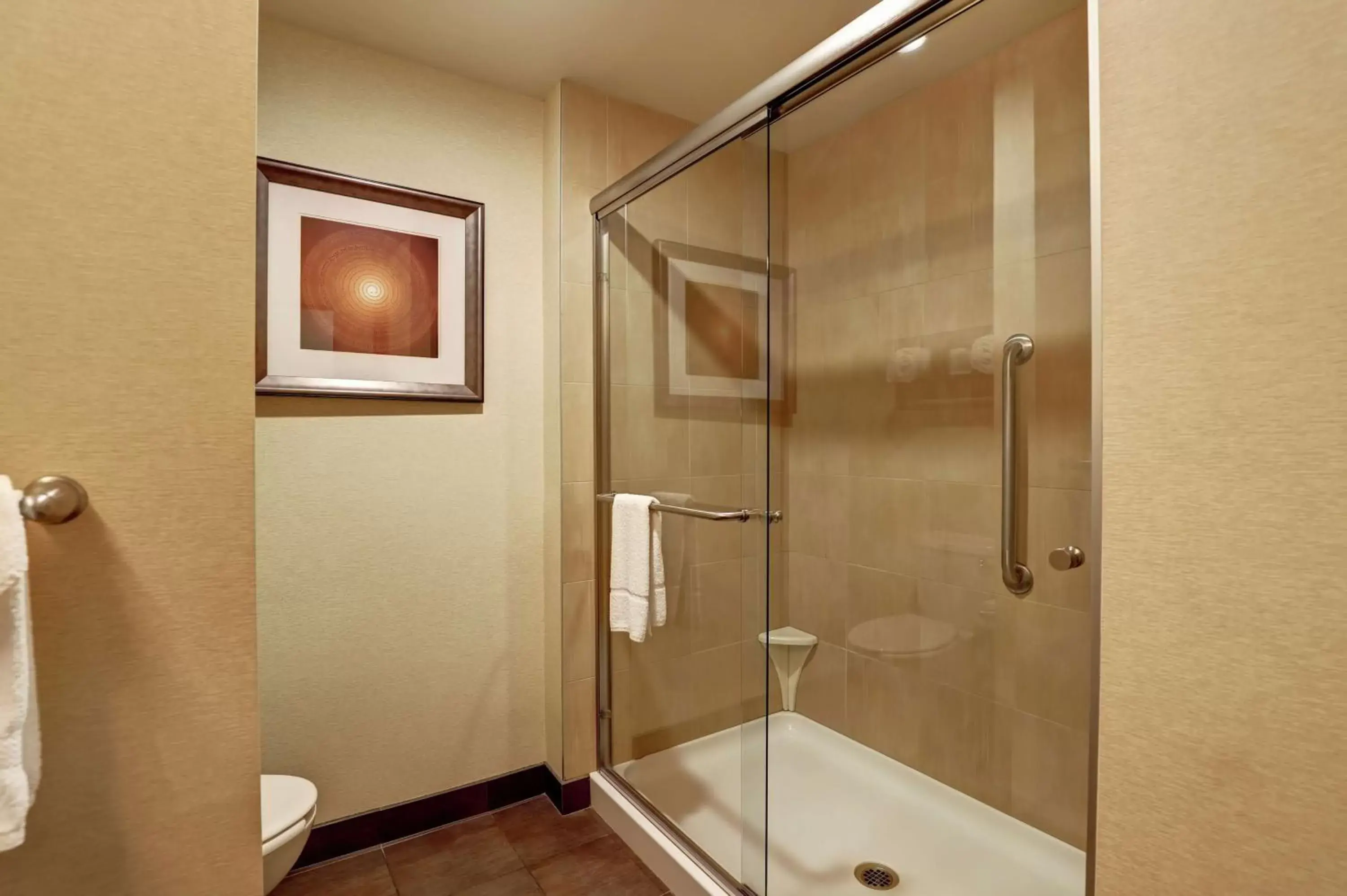 Bathroom in Hampton Inn by Hilton Chilliwack