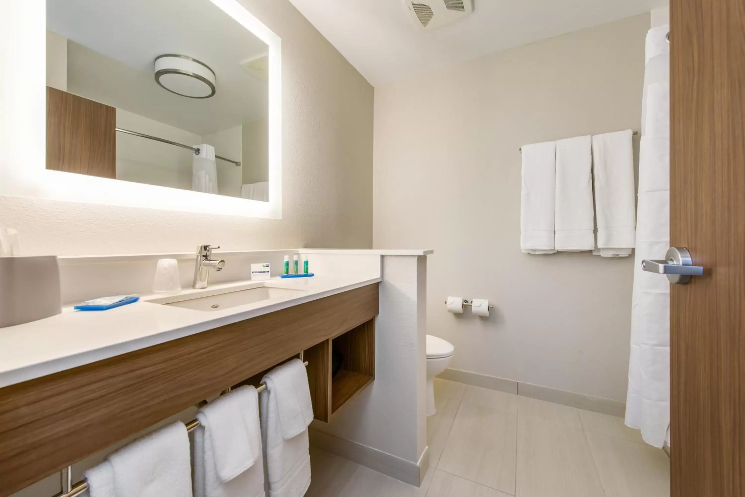 Bathroom in Holiday Inn Express & Suites - Carrollton West, an IHG Hotel