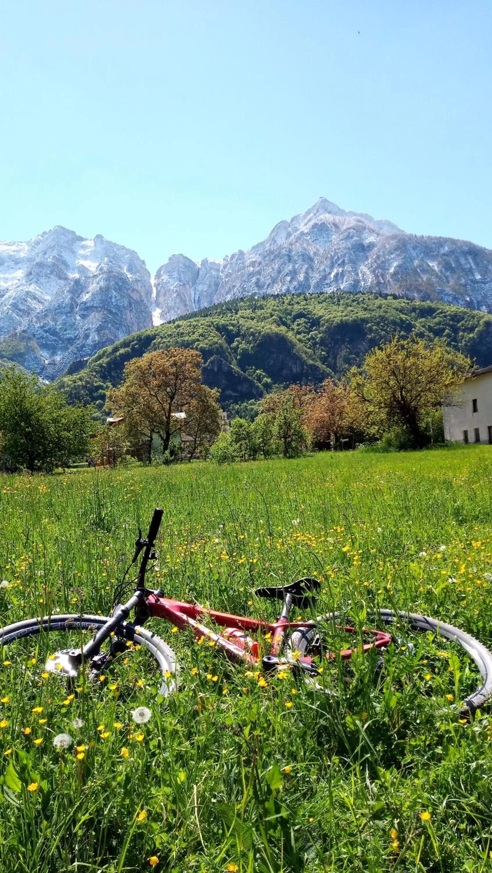 Natural landscape in Agritur Airone Bed & Camping