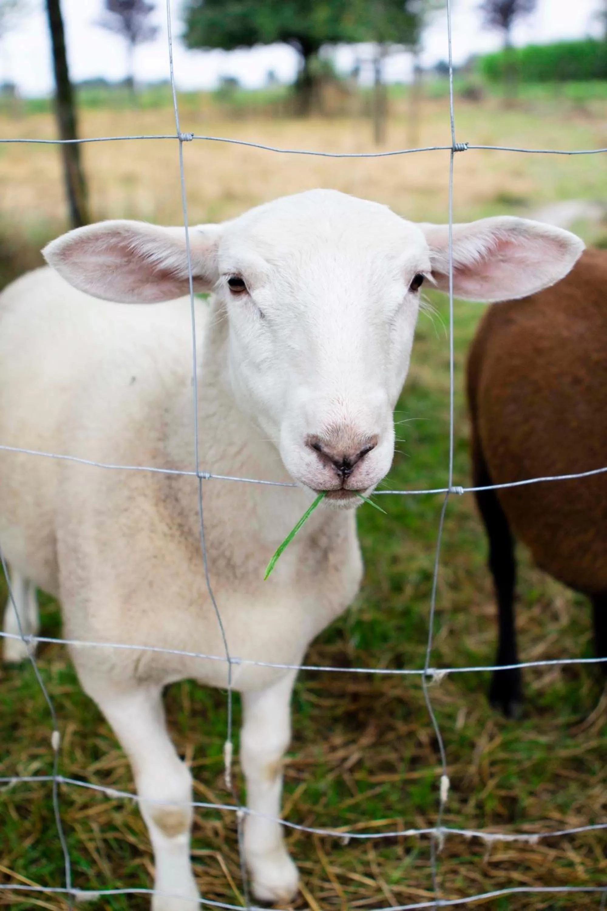 Landmark view in Landapartments Smitmans