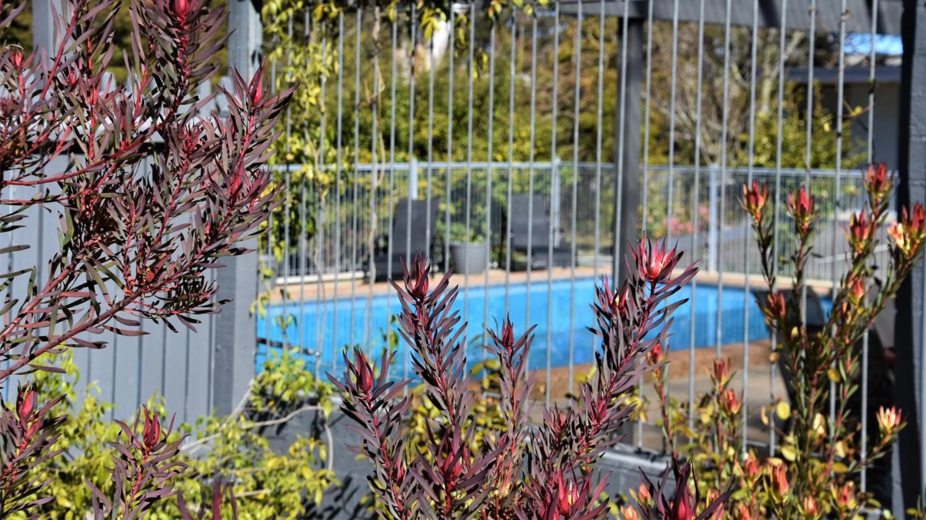 Natural landscape in Sky Rider Motor Inn