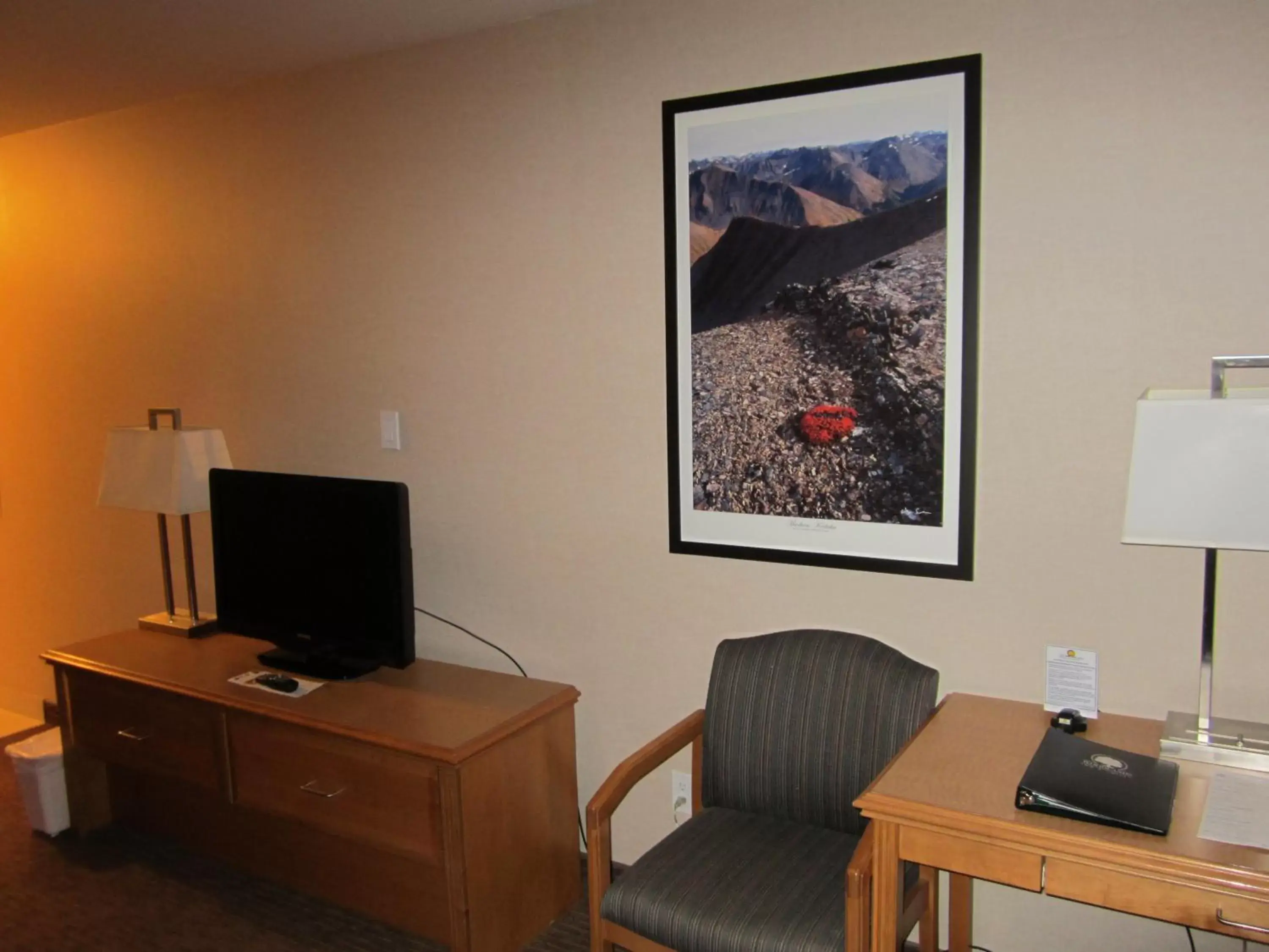 TV and multimedia, TV/Entertainment Center in Woodlands Inn & Suites