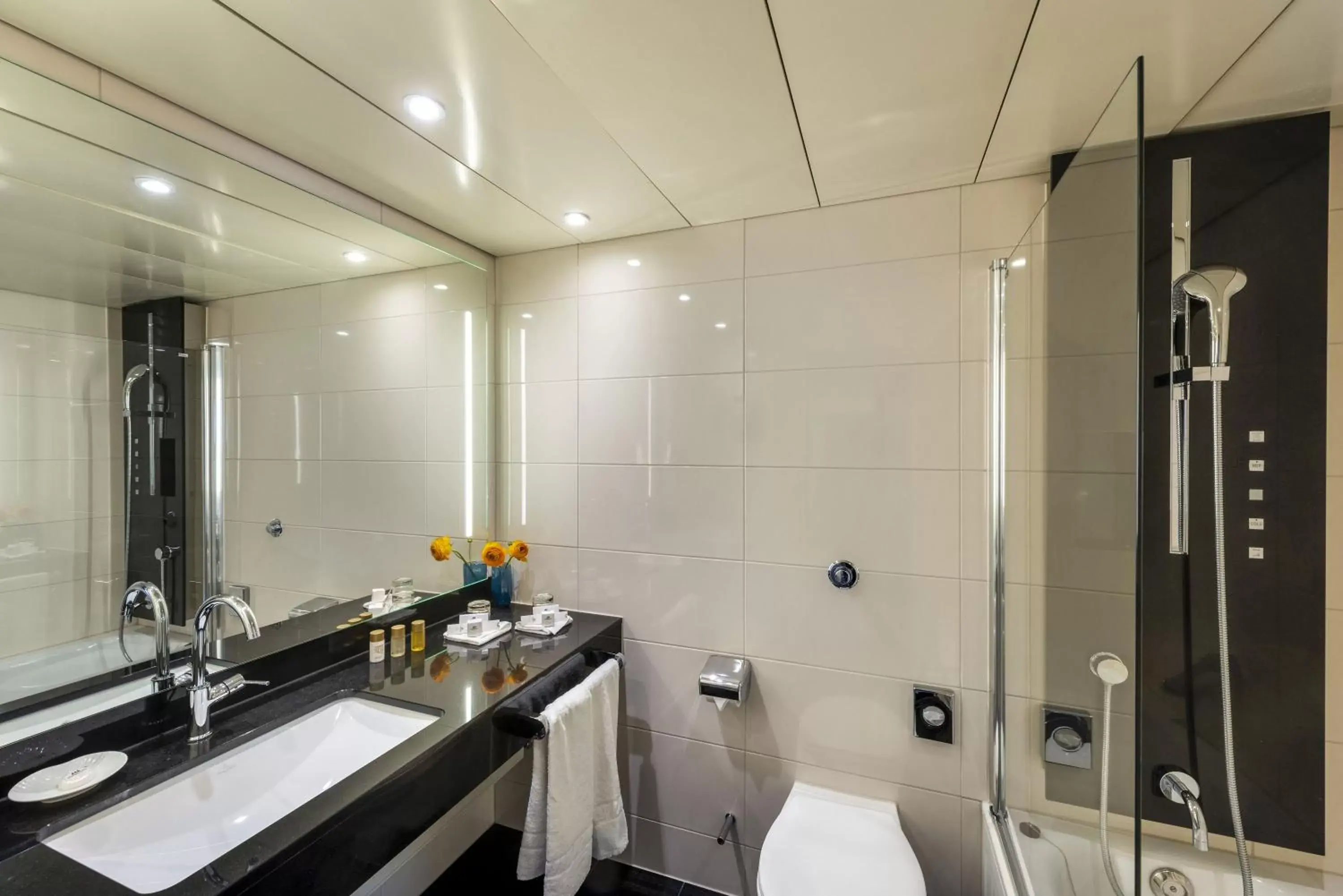 Bathroom in Maritim Hotel Ulm Bathroom in Maritim Hotel Ulm