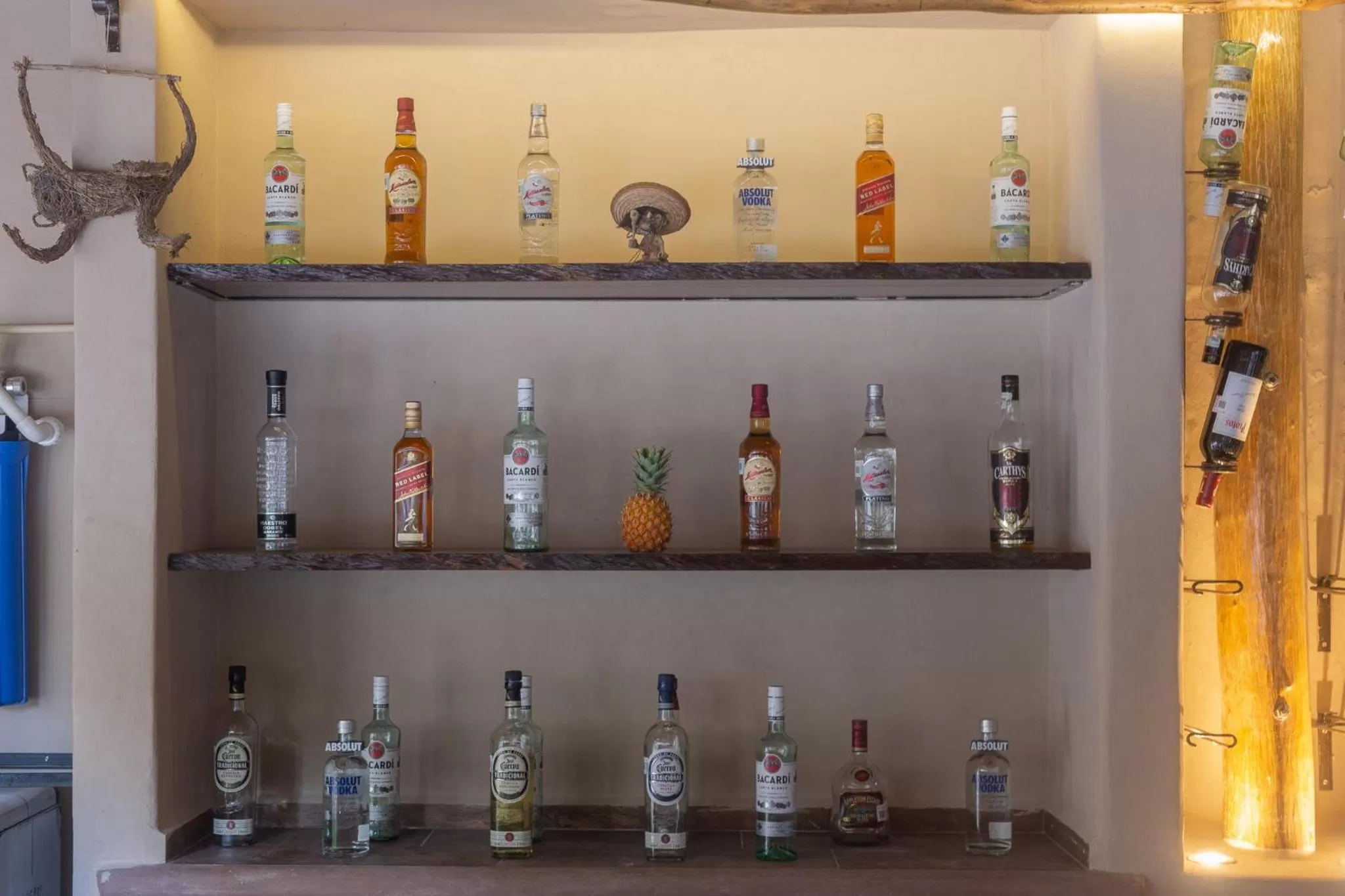 Lounge or bar in Hotel Circulo Bacalar