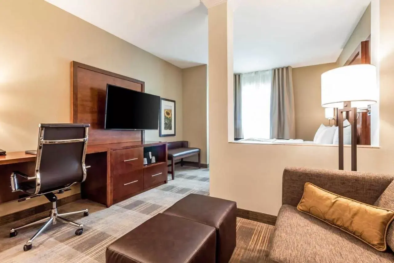 TV and multimedia, Seating Area in Comfort Suites Brookings