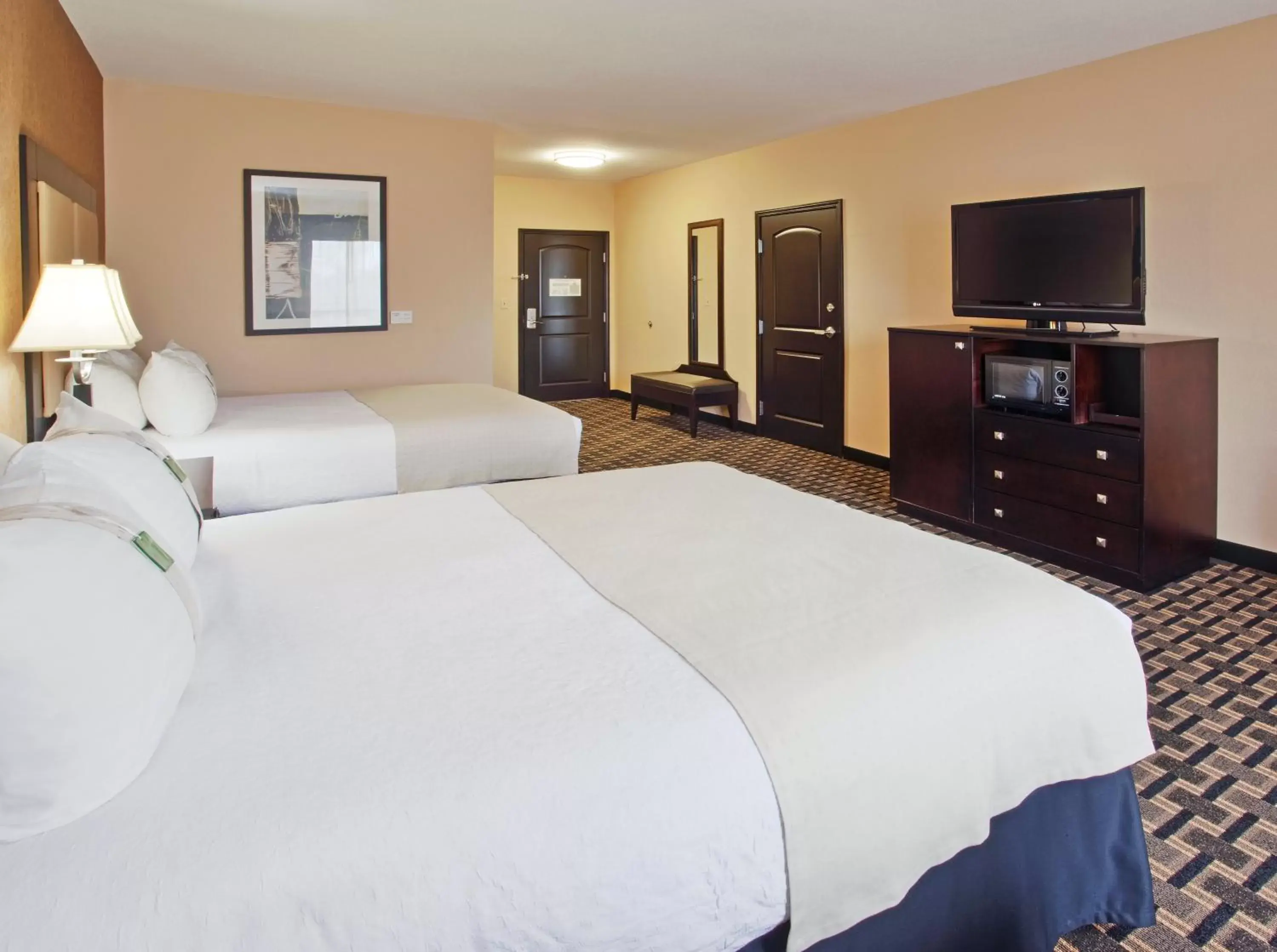 Photo of the whole room, Bed in Holiday Inn Arlington Northeast, an IHG Hotel