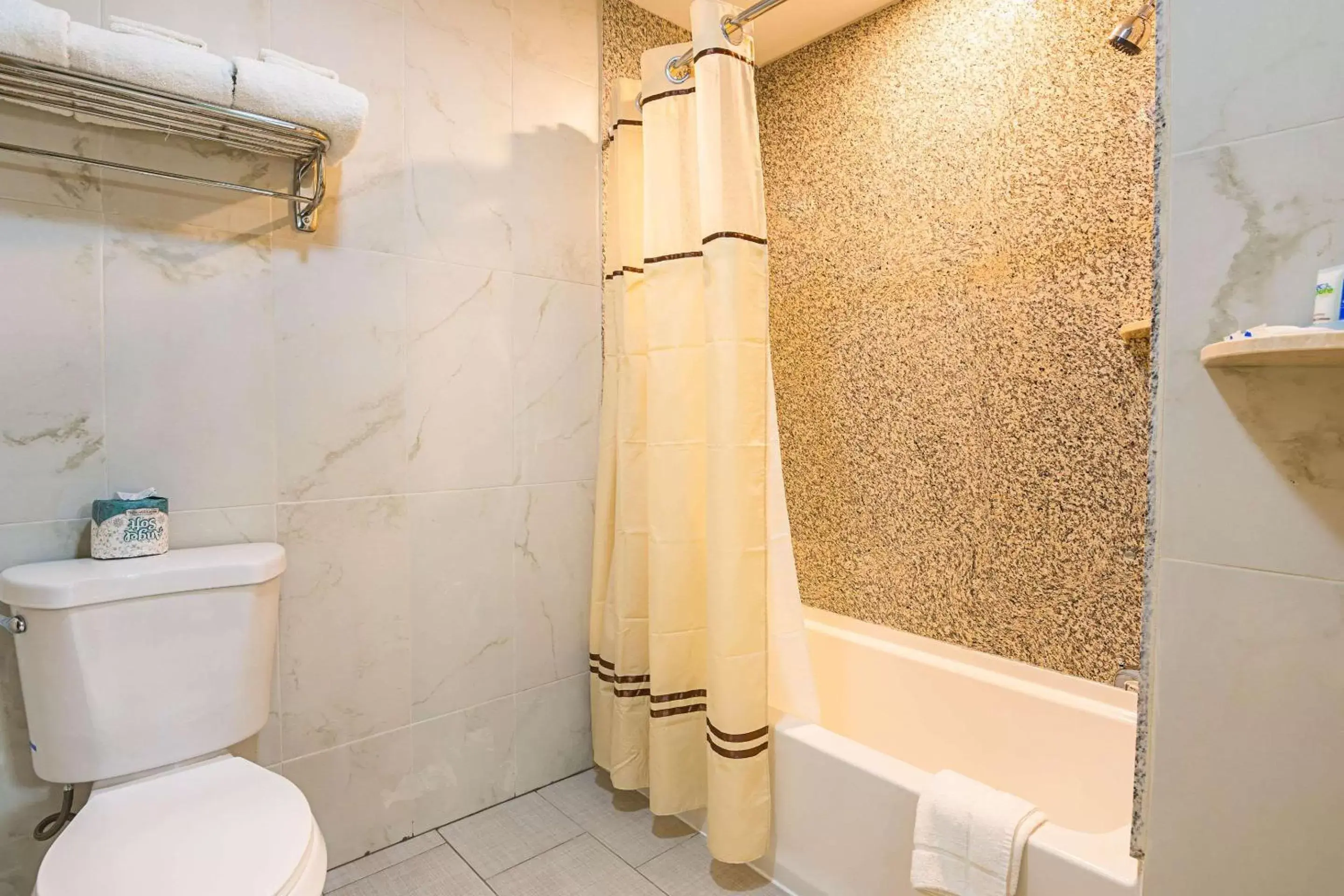 Bathroom in Rodeway Inn and Suites Ithaca