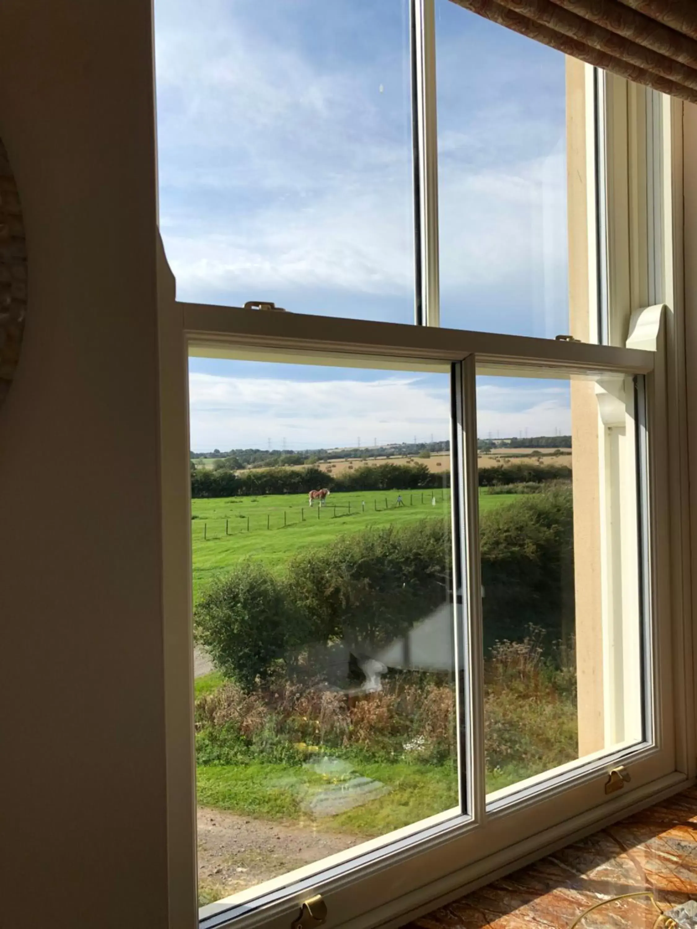 Garden view in Lillium House