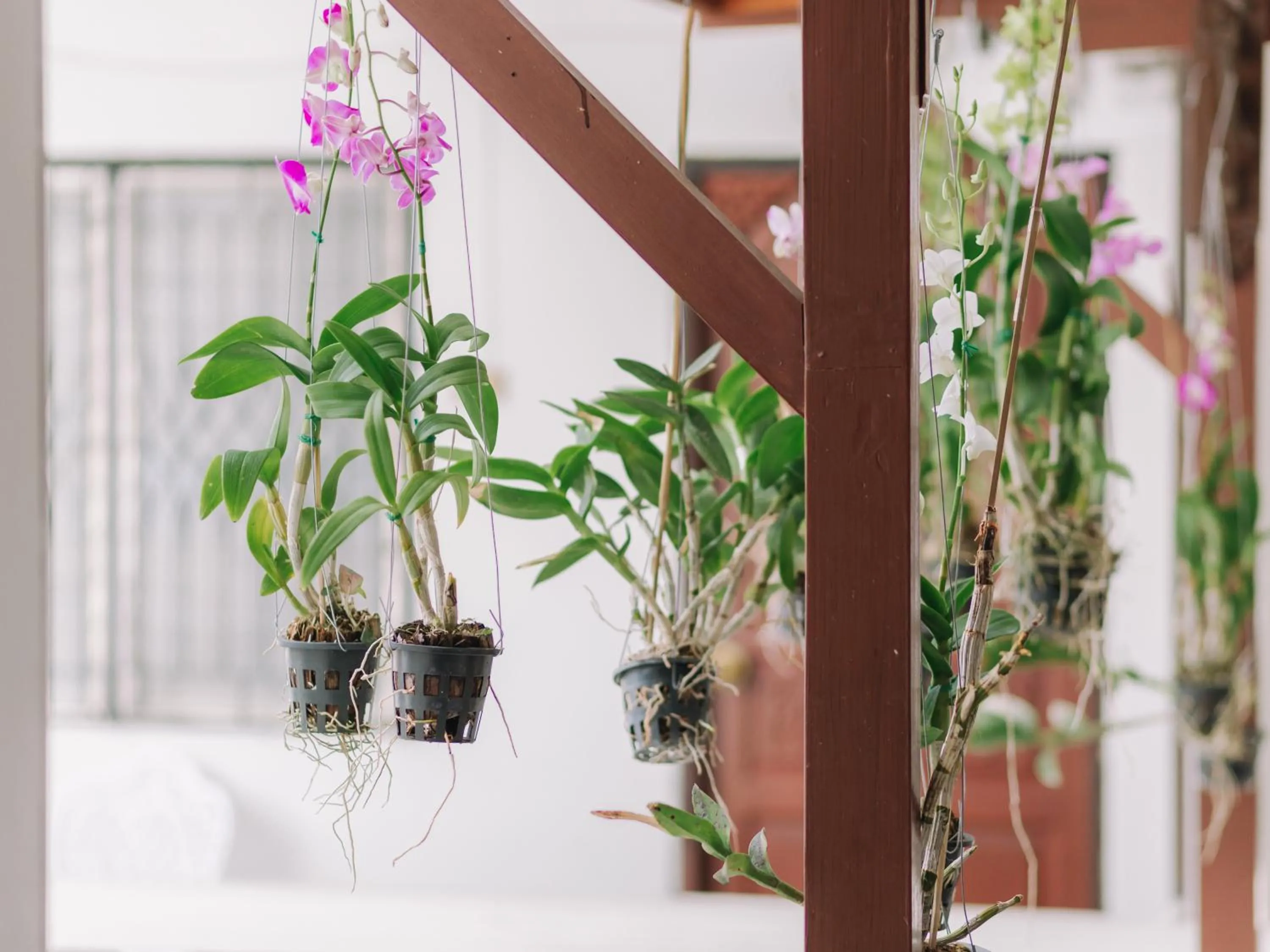 Other in Rendezvous Oldtown Chiangmai