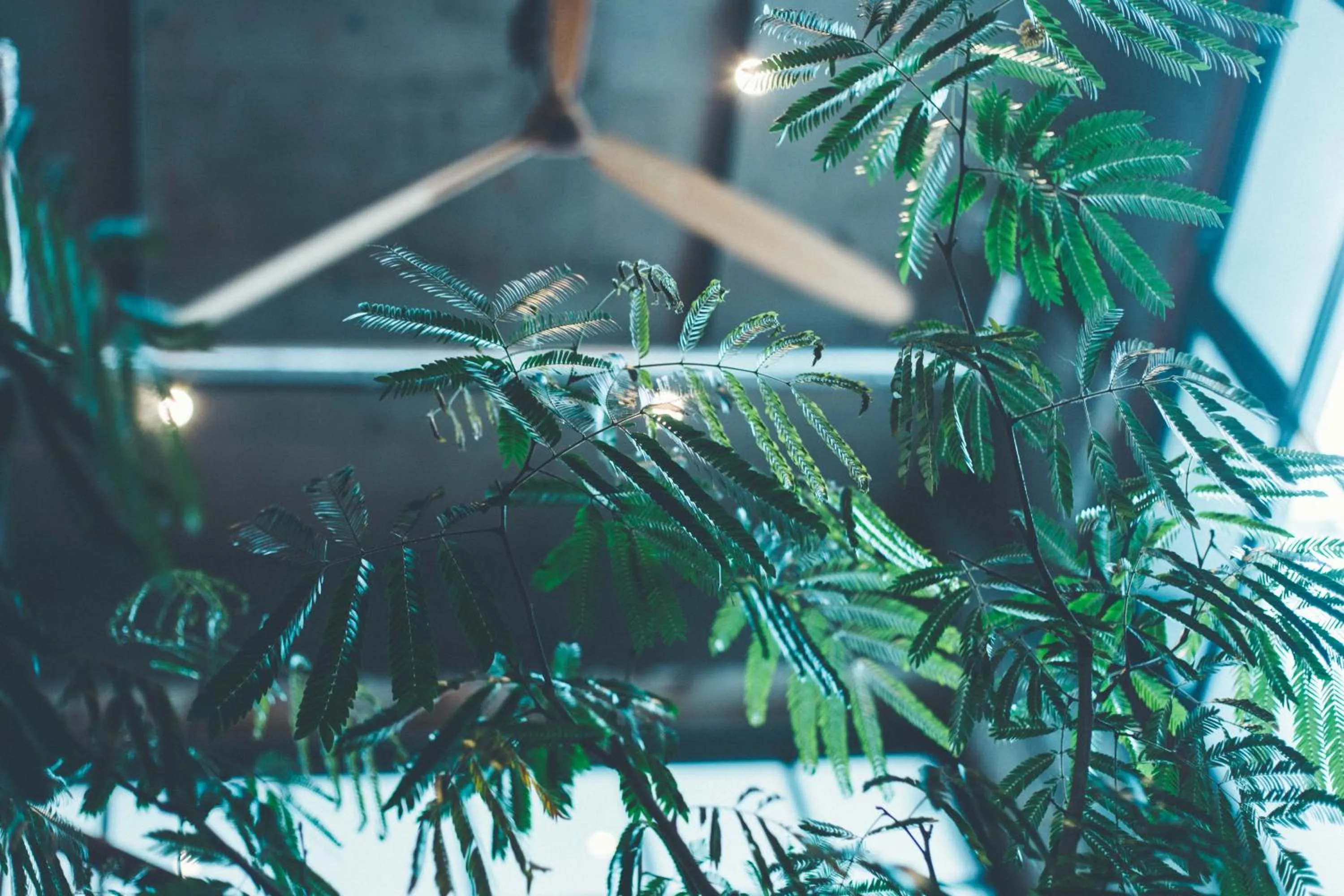 Decorative detail in CITAN Hostel