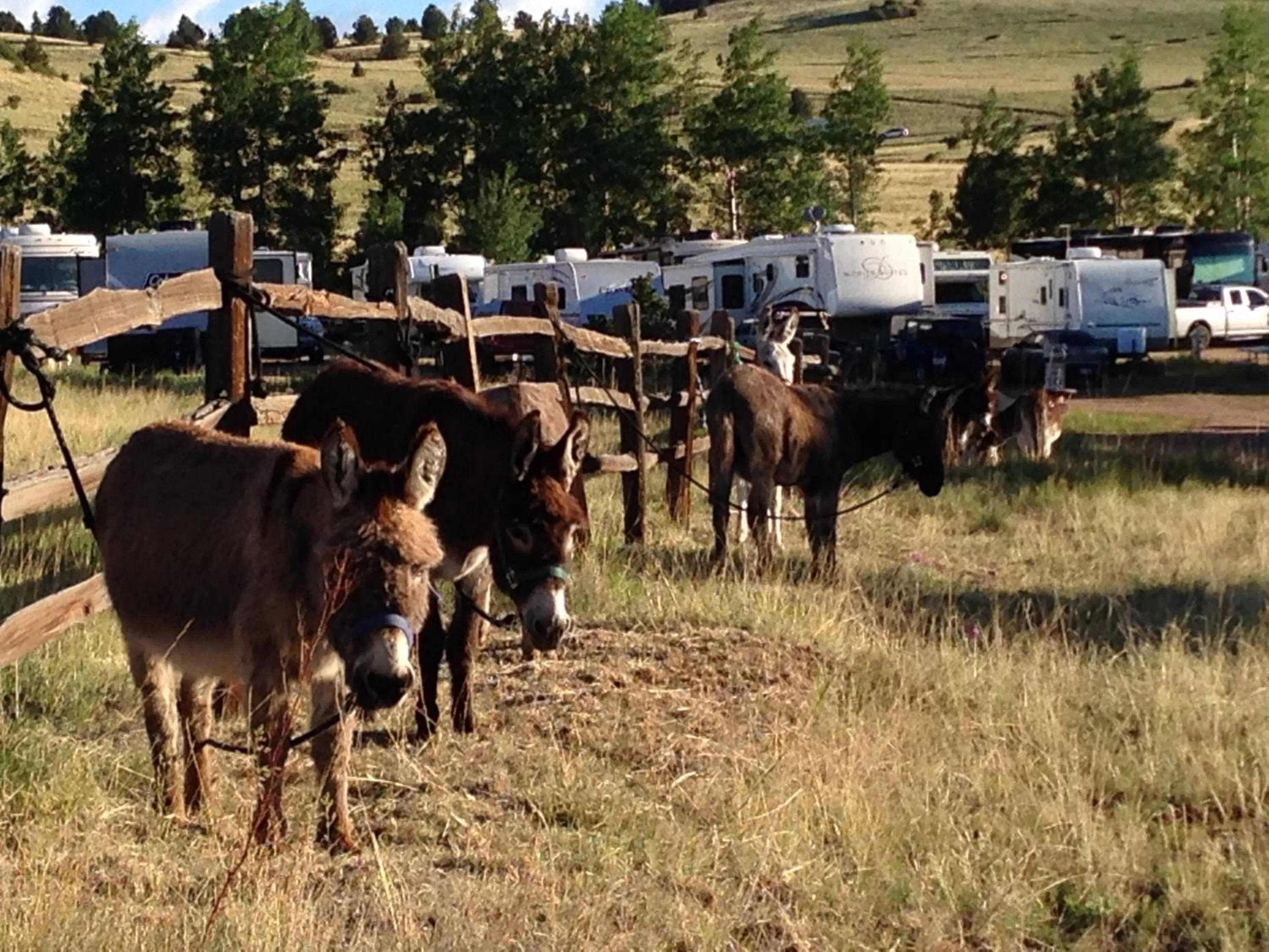 Day in Cripple Creek Hospitality House