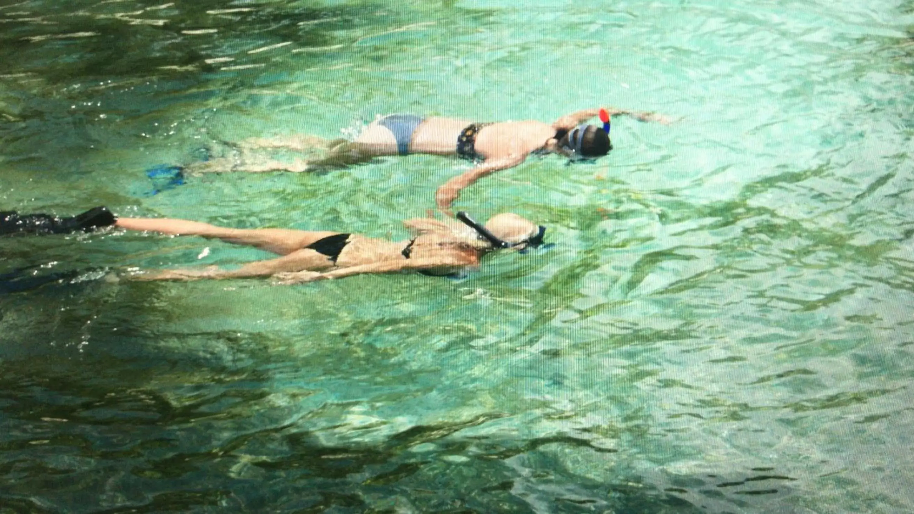Snorkeling, Other Animals in Seri Resort Gili Meno - Adults Only