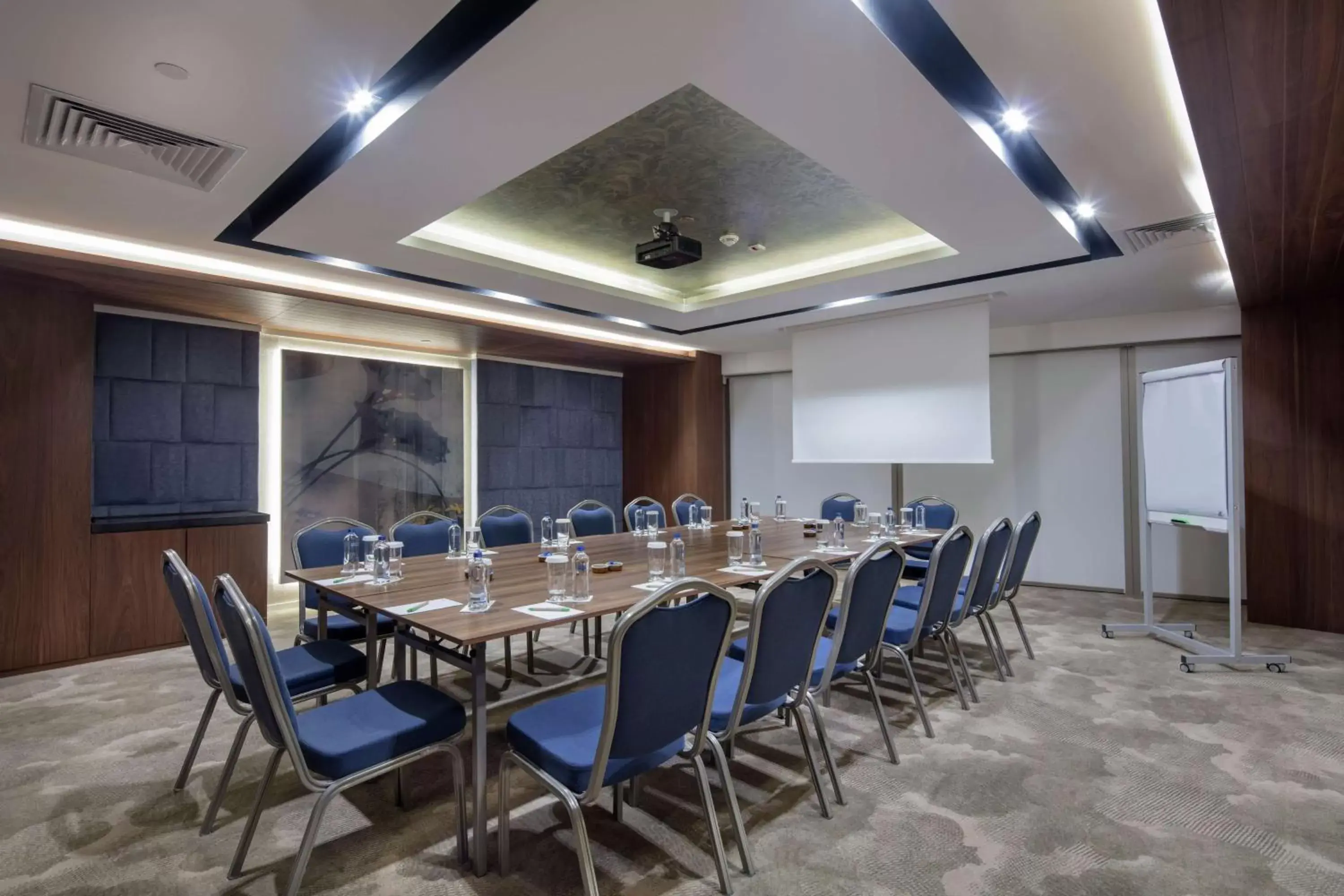 Meeting/conference room in Hilton Garden Inn Yalova