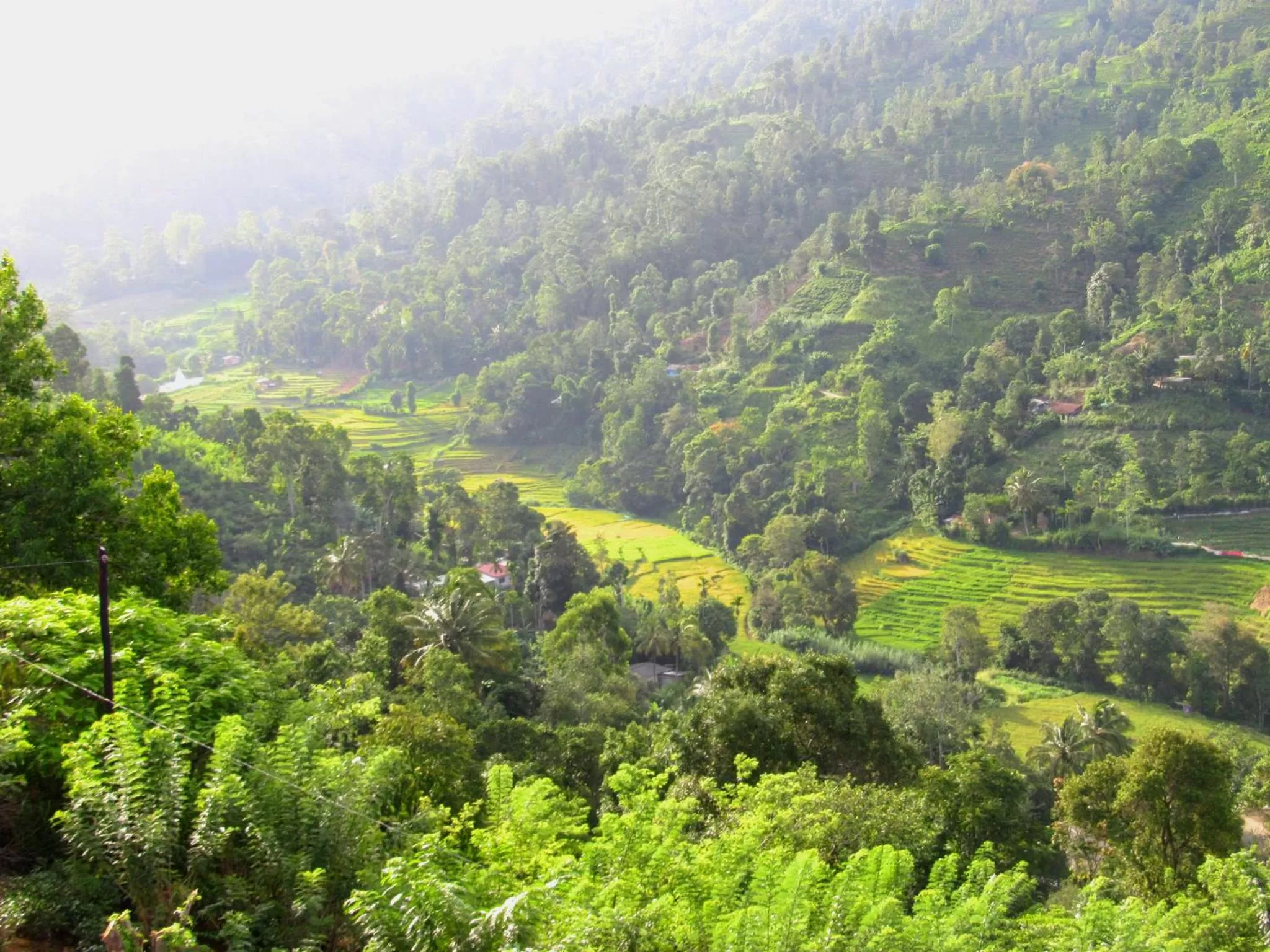 View (from property/room) in Ornateview Hotel