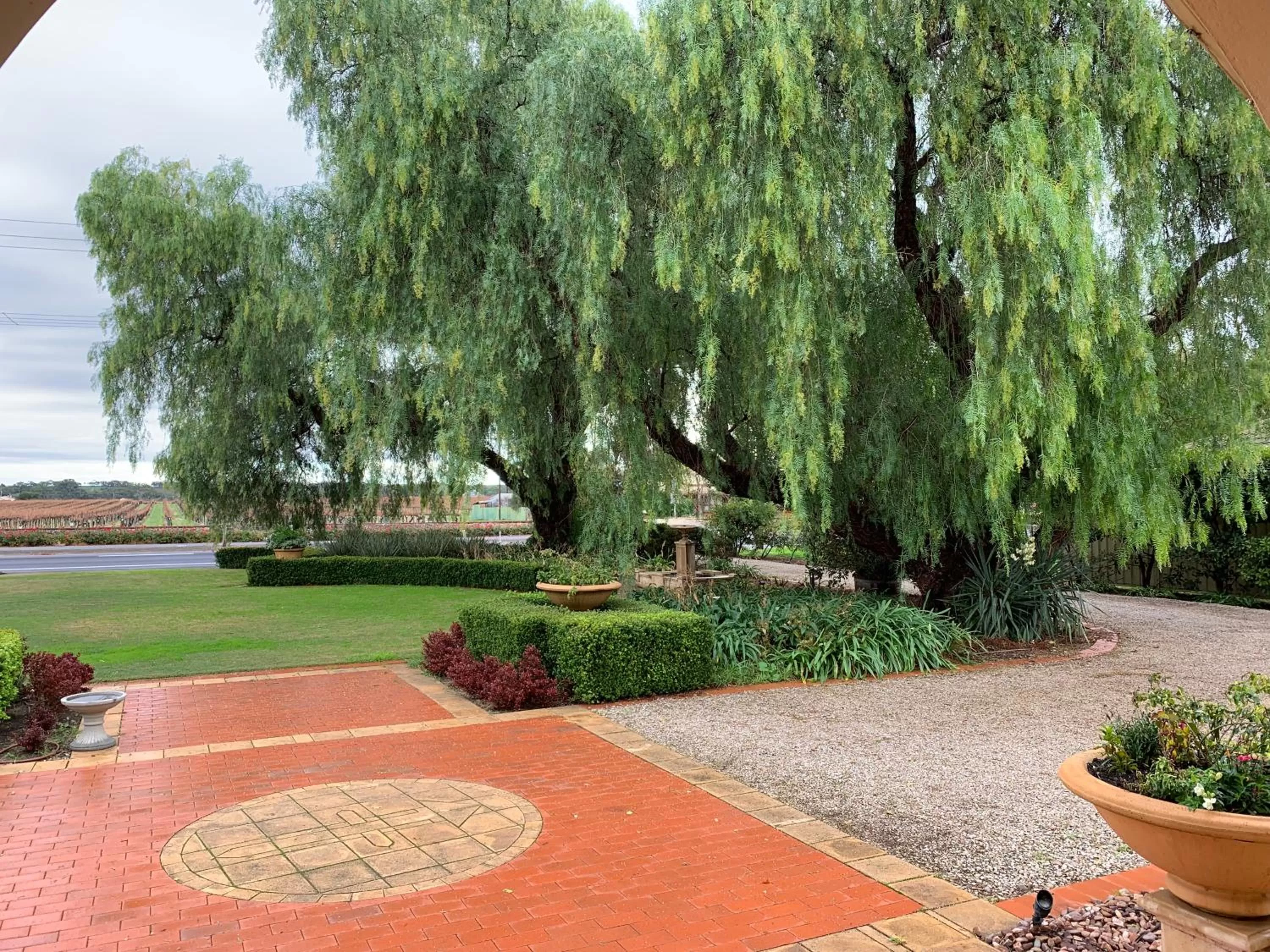 Garden view in Barossa House