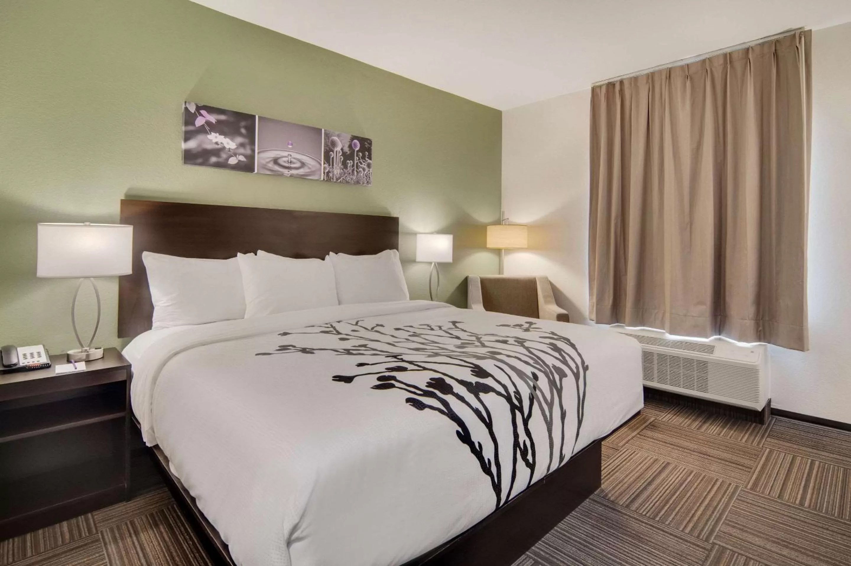 Bedroom, Bed in Sleep Inn Dallas Northwest - Irving