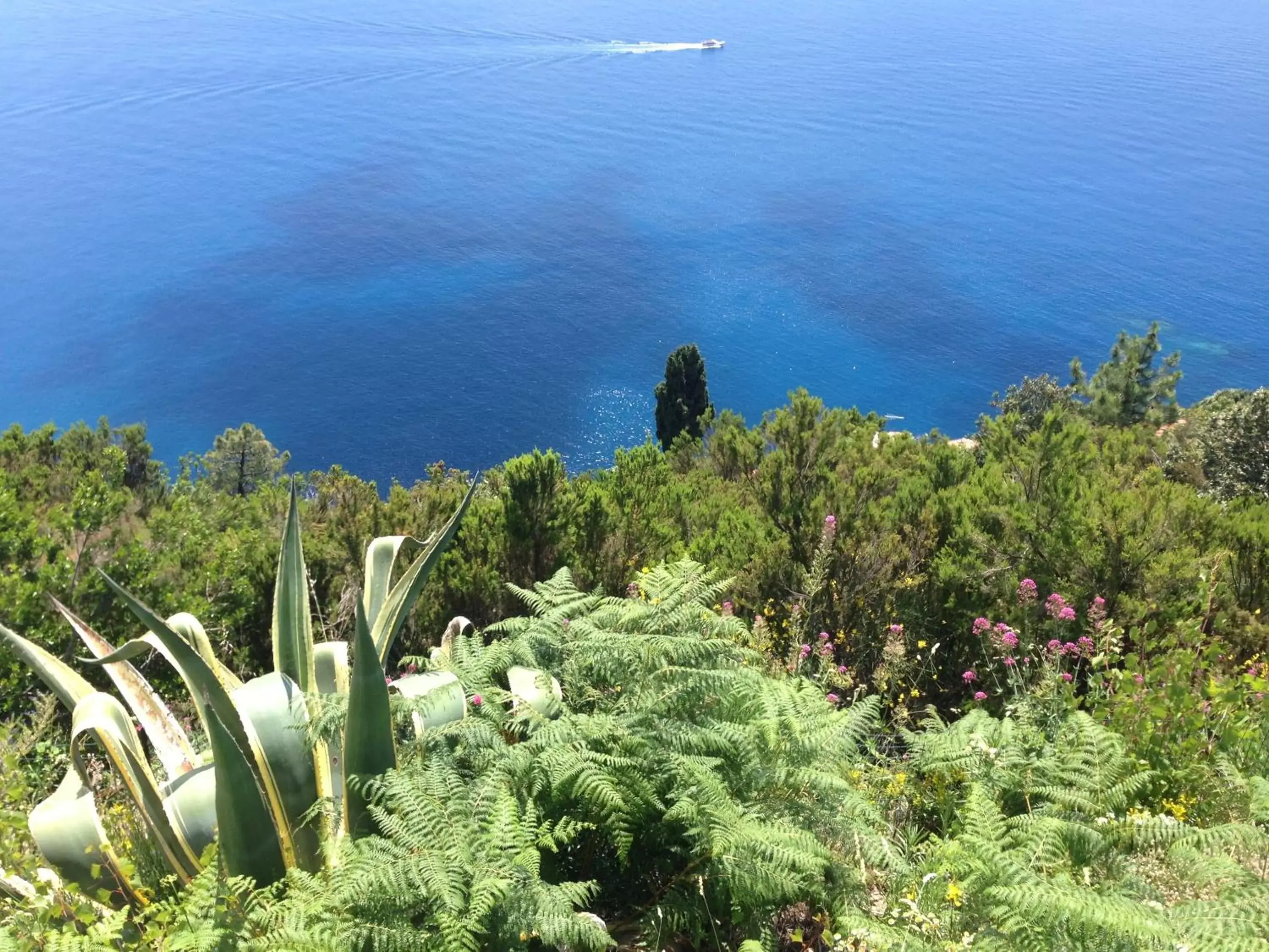 Nearby landmark in Il Casale Del Giglio