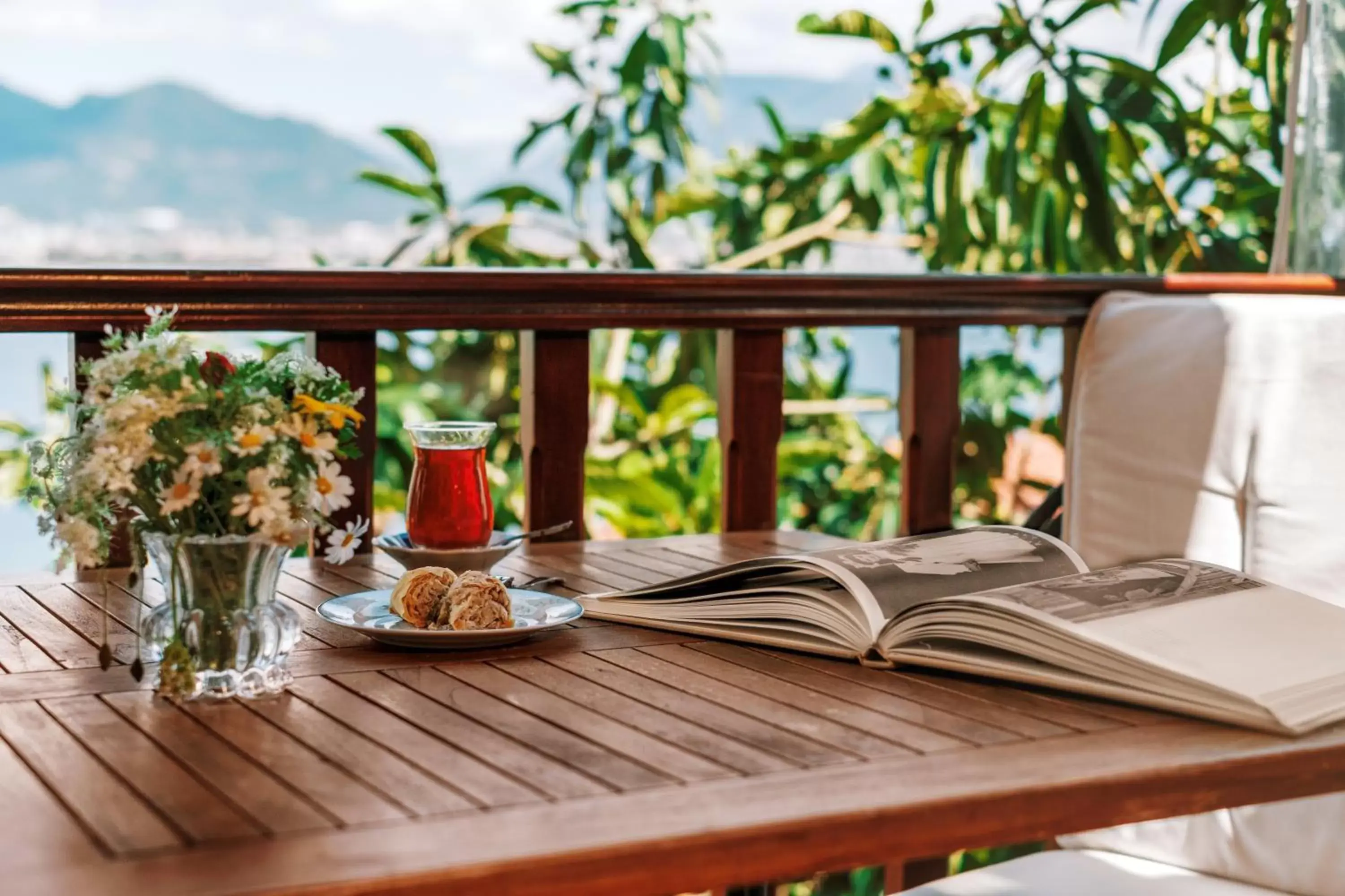 Balcony/Terrace in Hotel Villa Turka