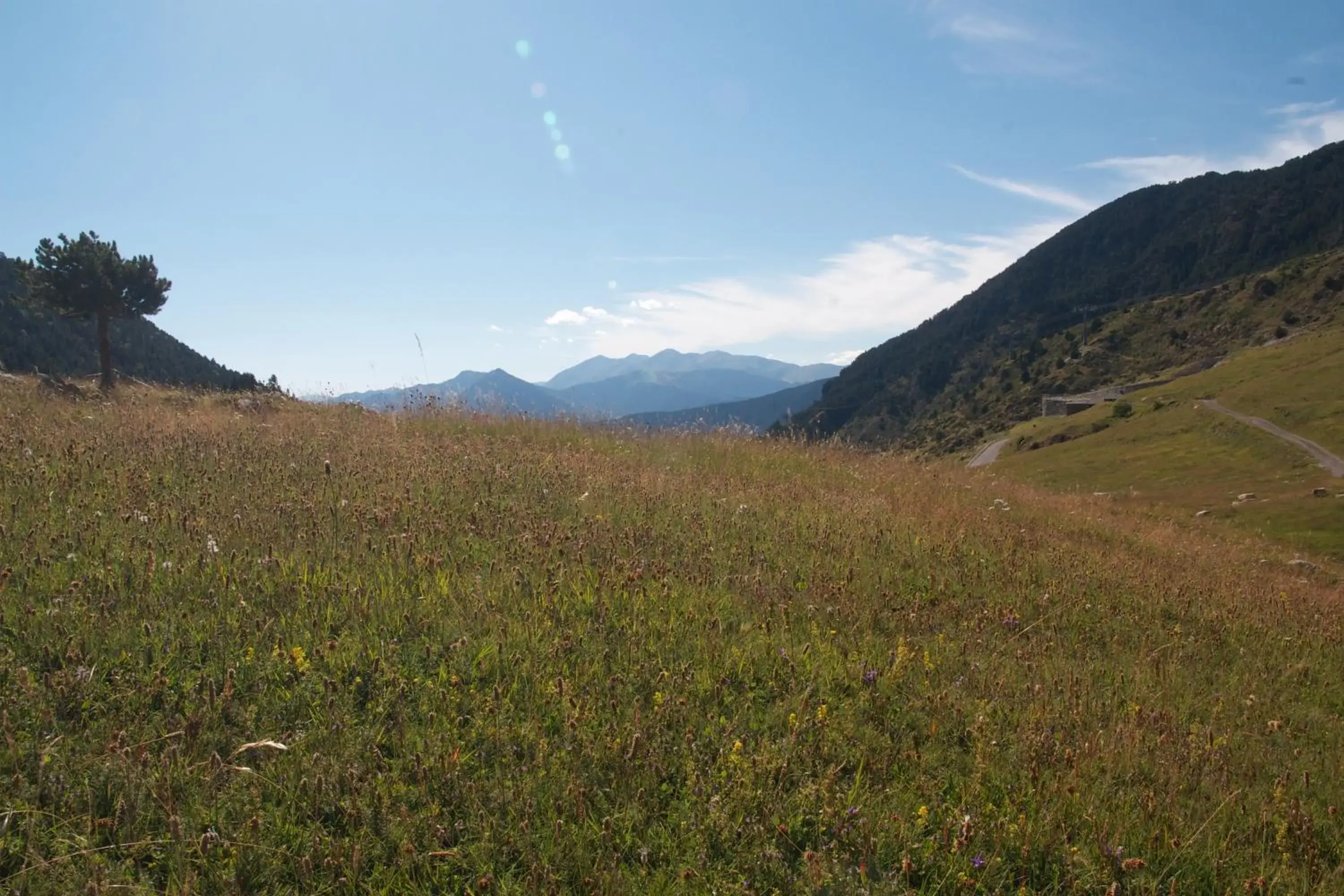 Day, Natural Landscape in Montecarlo