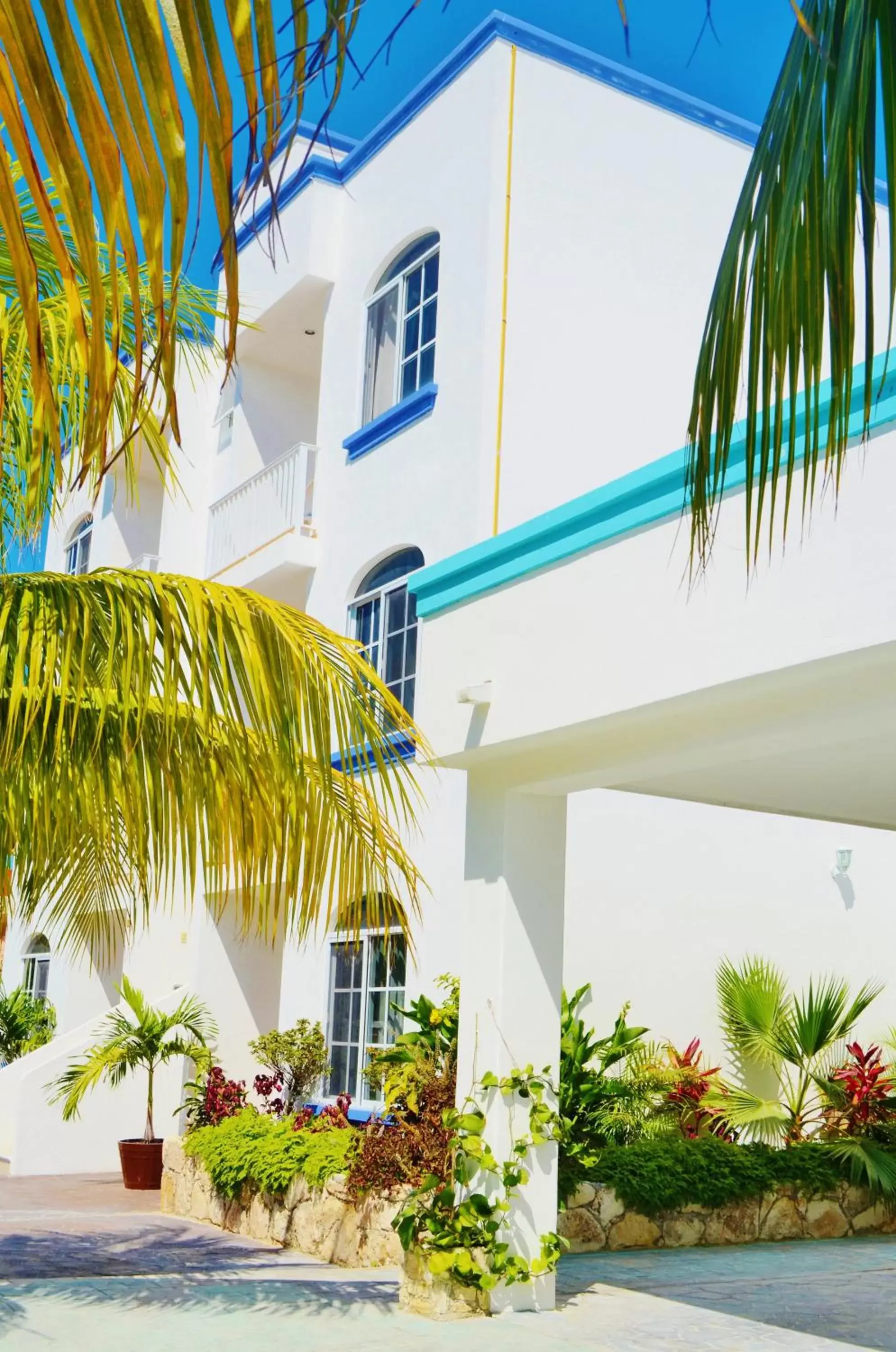 Property Building in Corales Suites