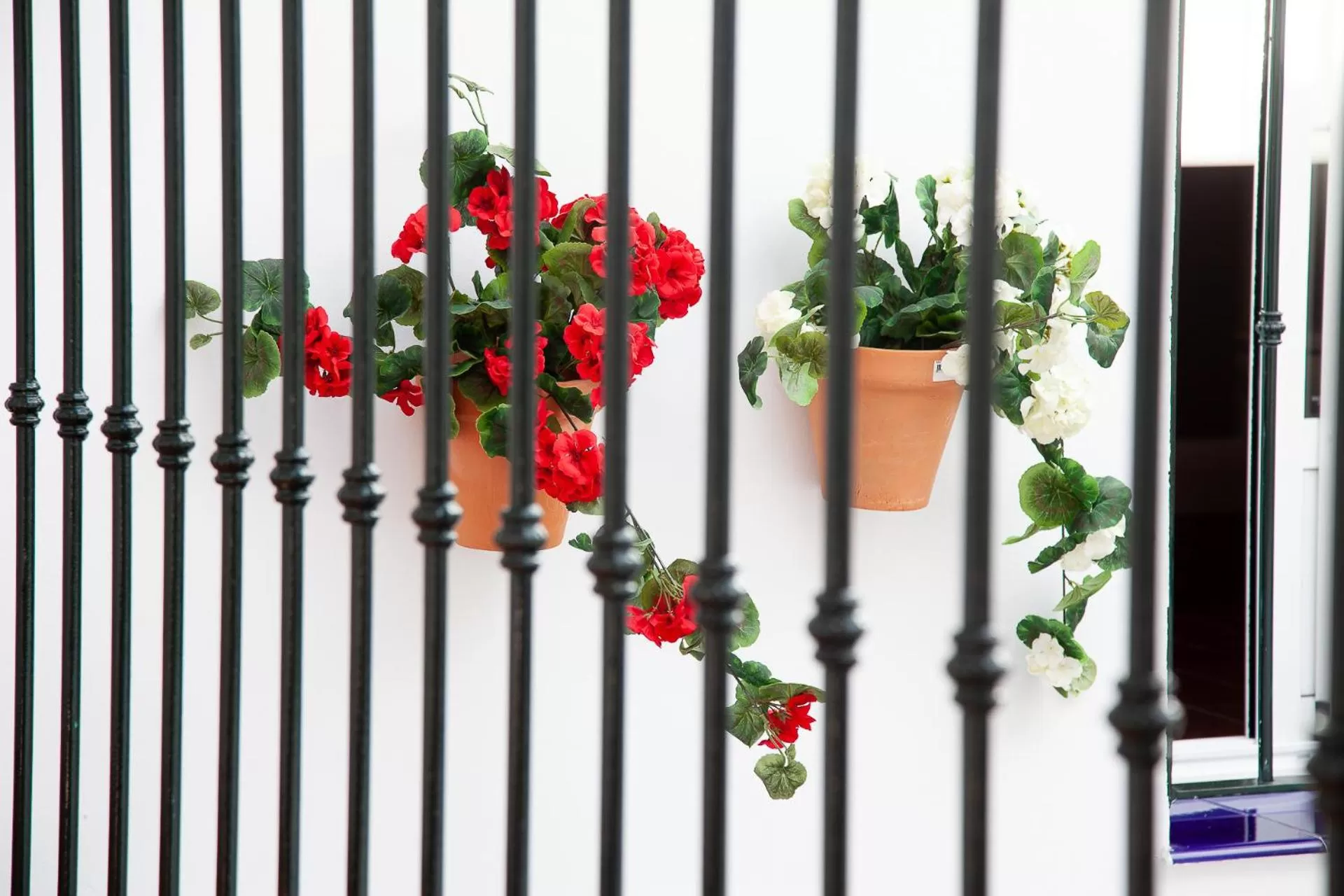 Patio in Noches en Triana