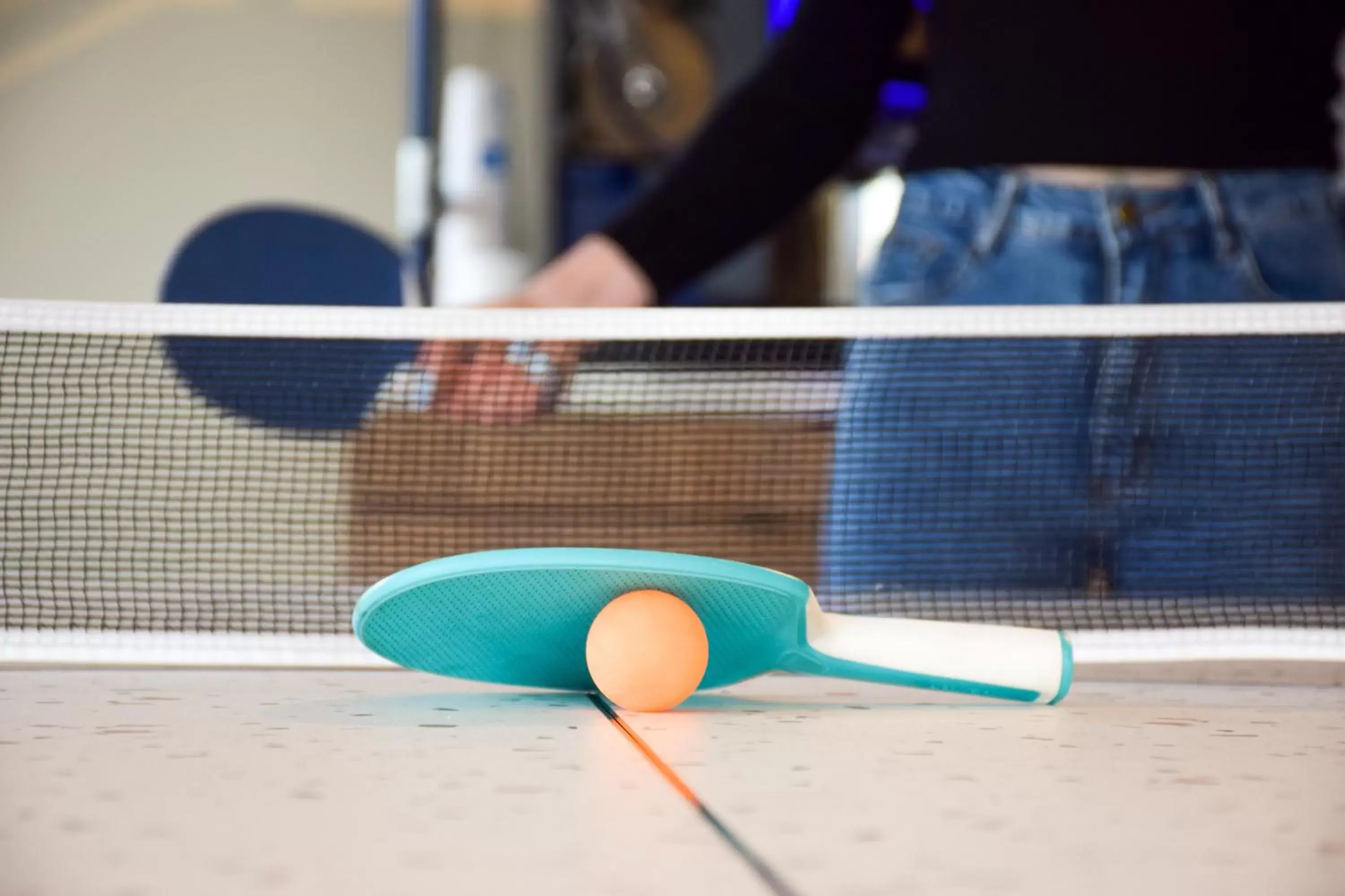 Table tennis, Other Activities in ibis Budget Millau Viaduc