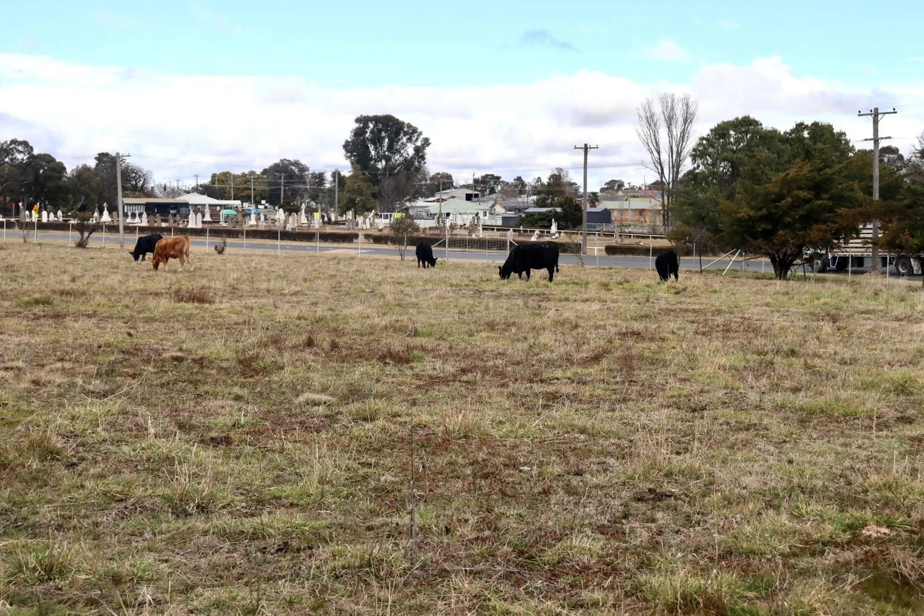 Clover Cottage Uralla