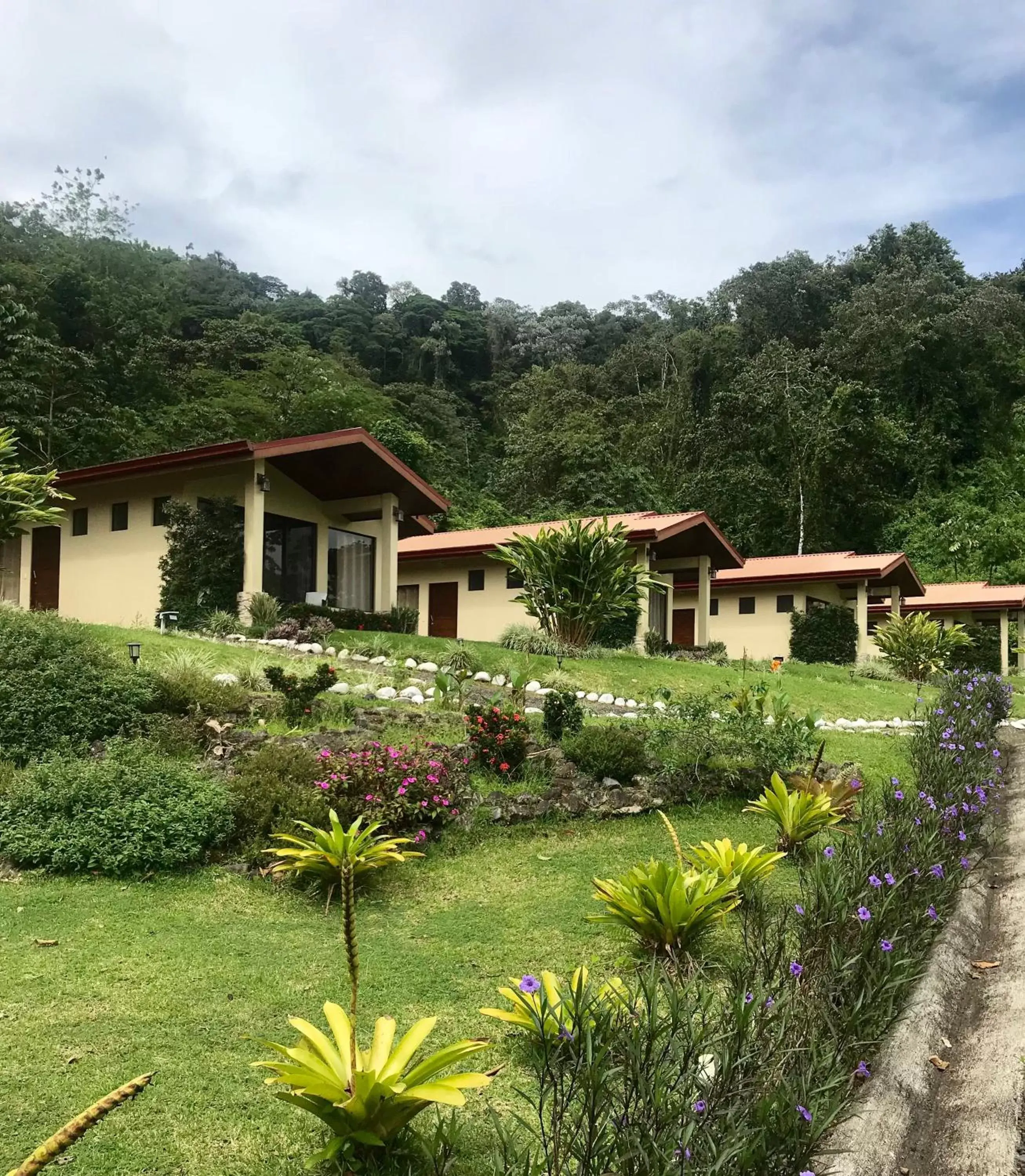 Property Building in Arenal Roca Suites