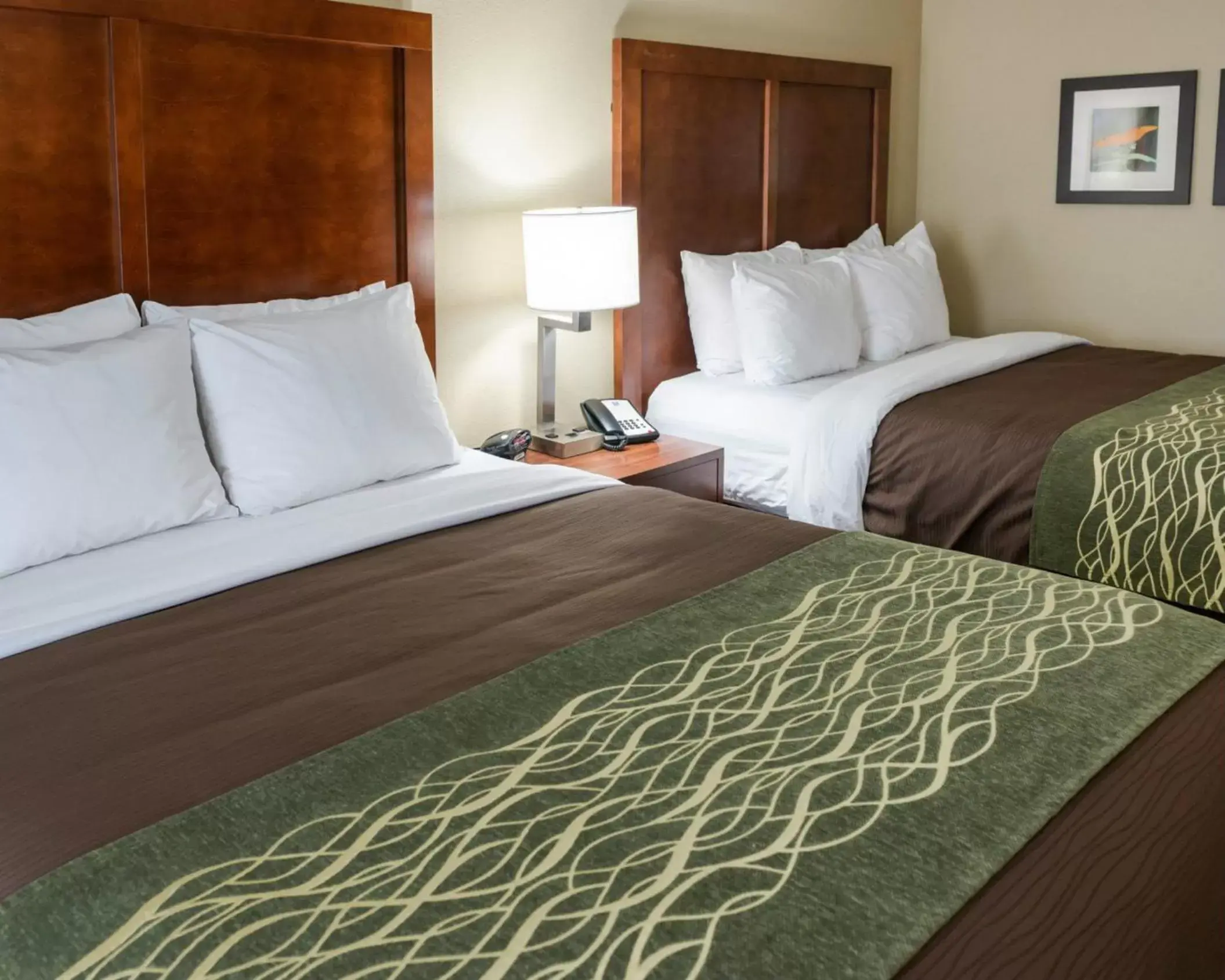 Queen Suite with Two Queen Beds - Non Smoking in Comfort Inn & Suites West - Medical Center