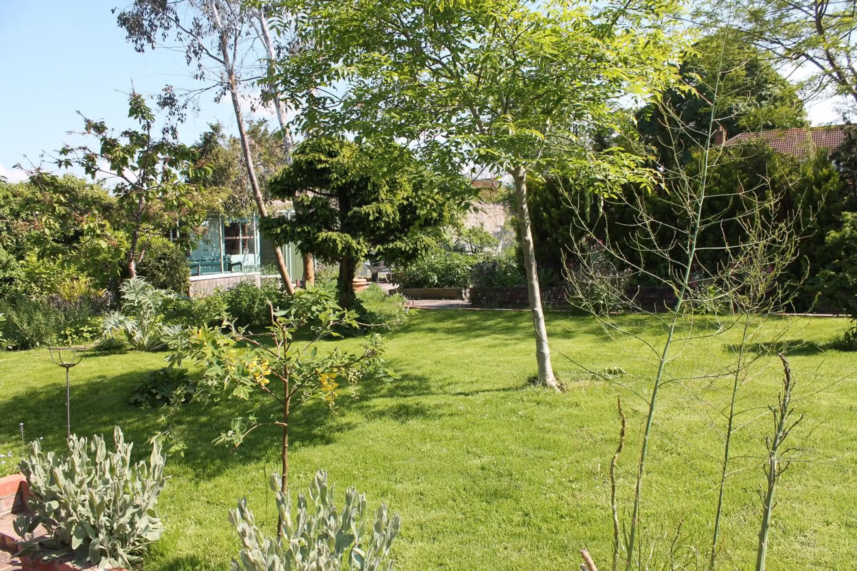 Garden in The School House