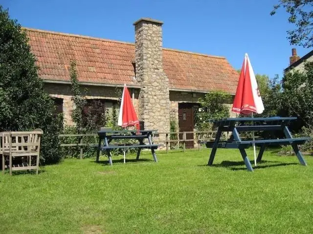 Garden in The Babbling Brook