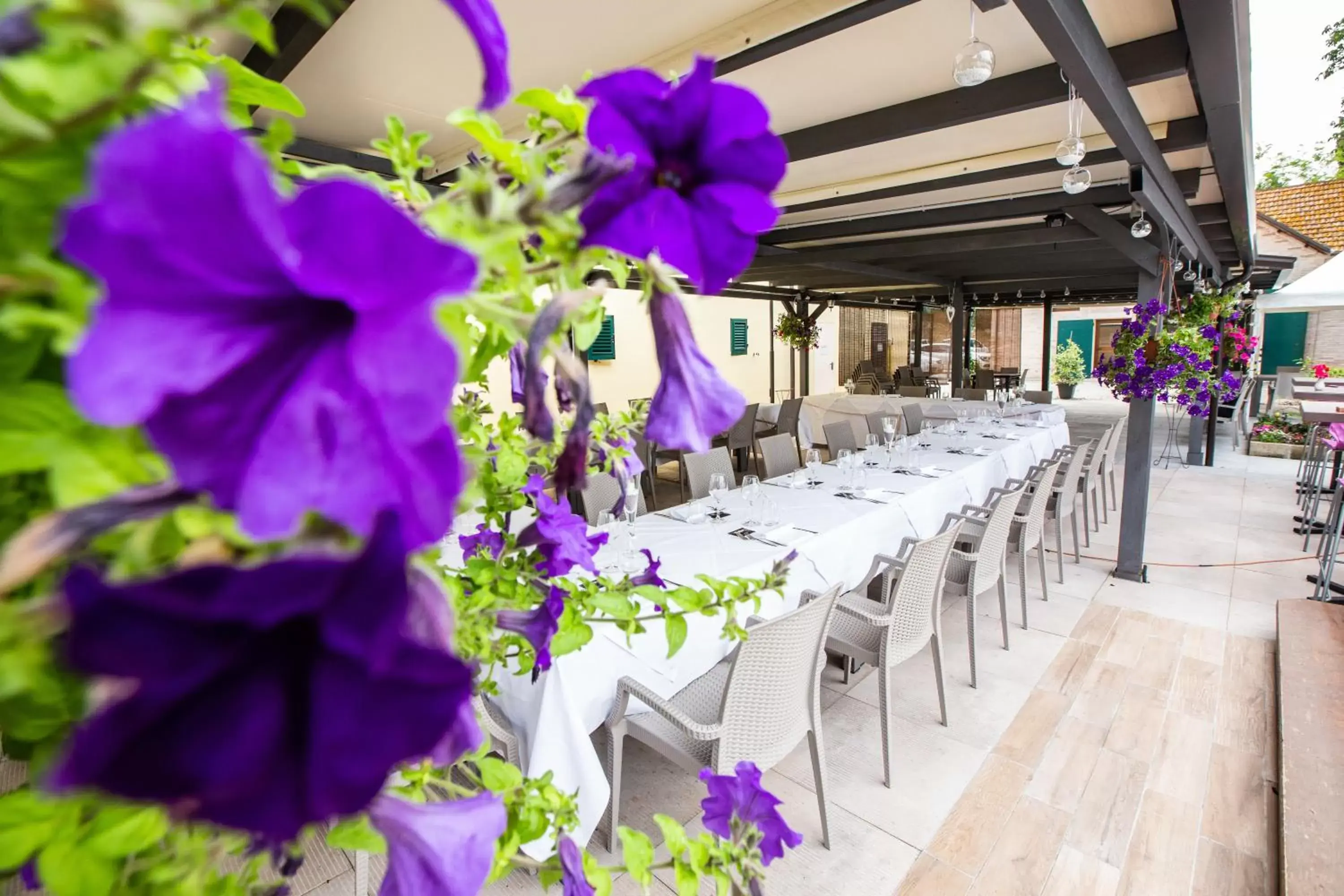 Business facilities, Banquet Facilities in Tenuta Villa Colle Sereno