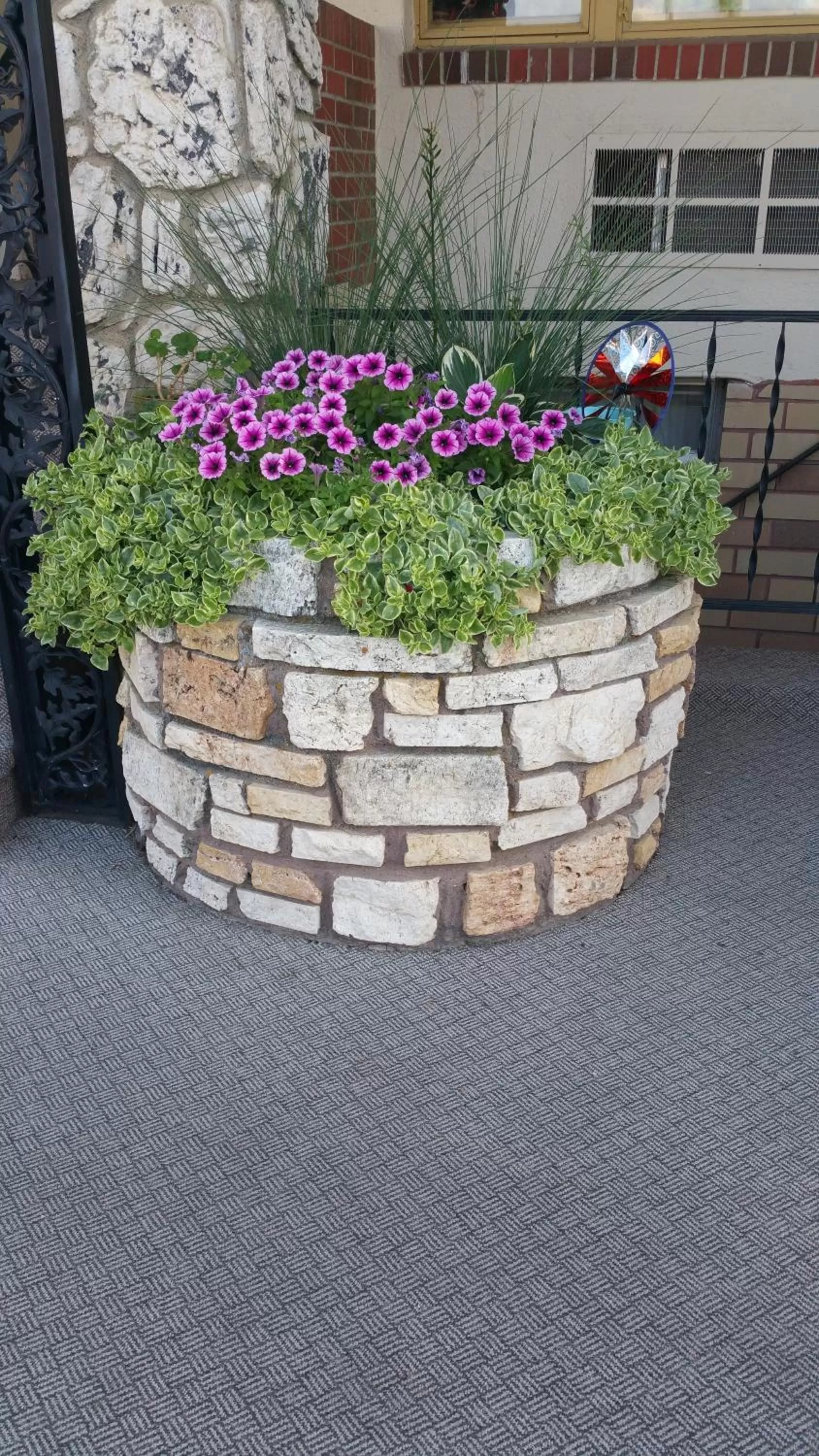 Garden in Siesta Motel