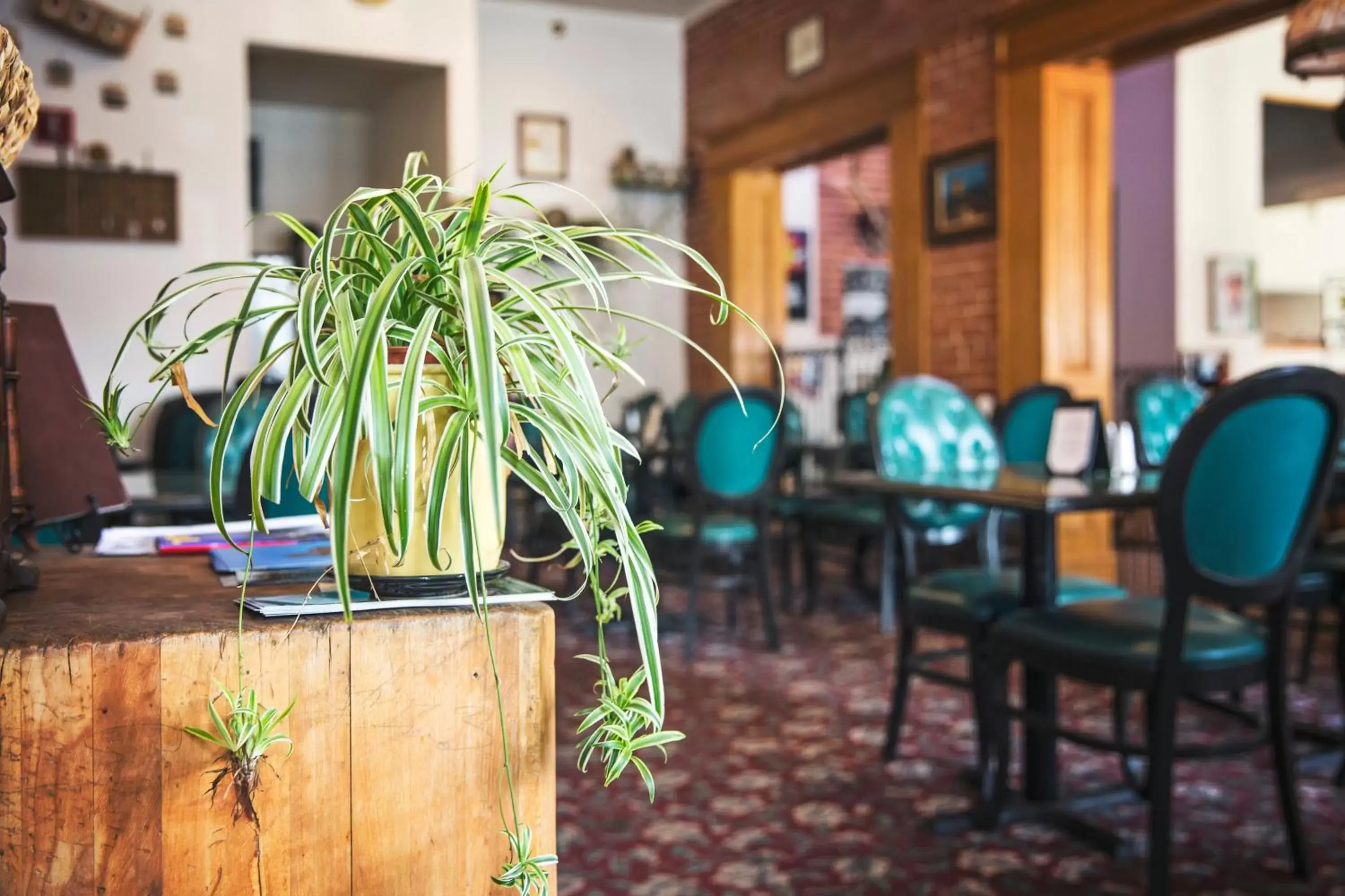 Dining area in The Victor Hotel