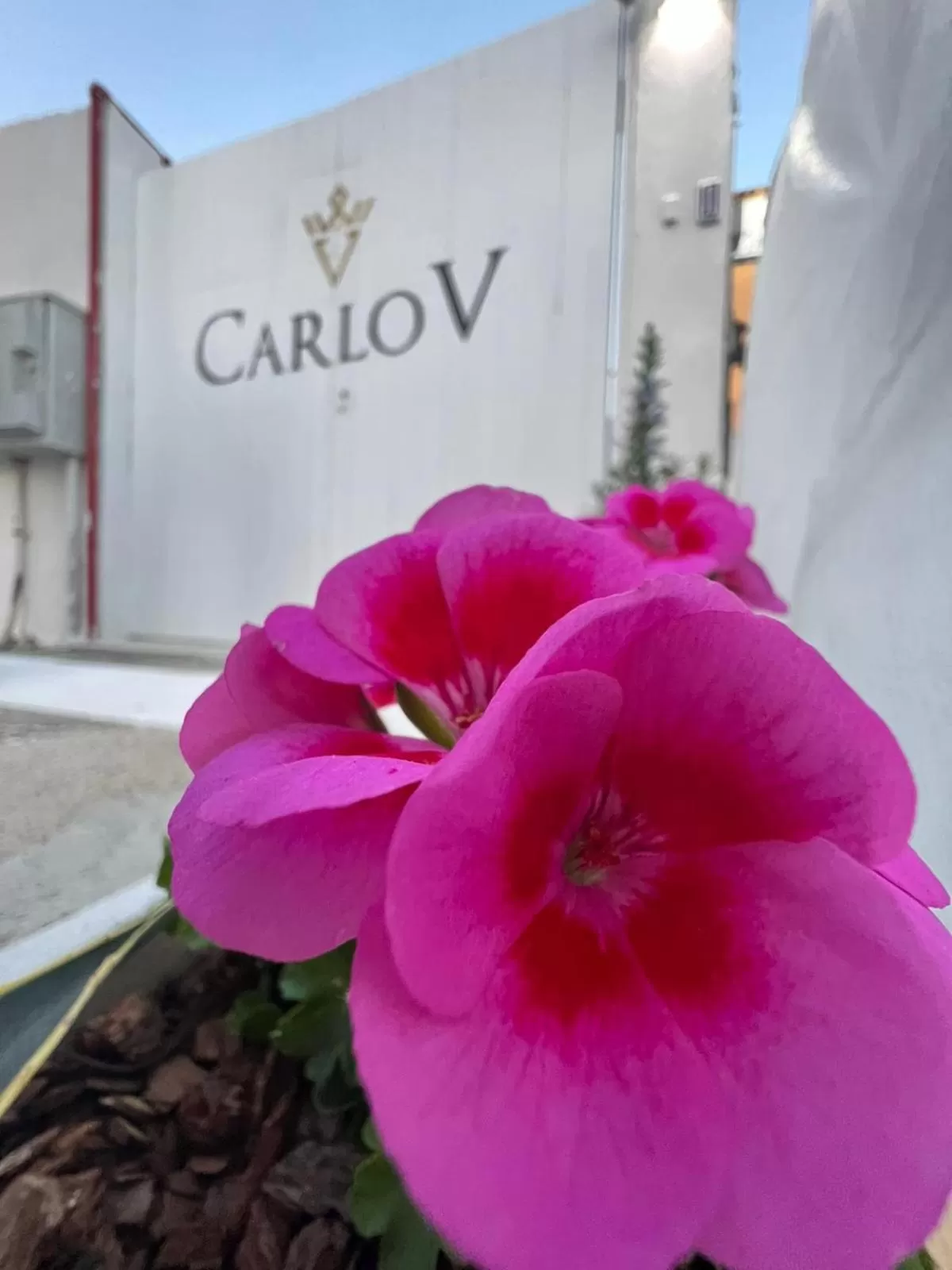 Carlo V - Holiday Rooms