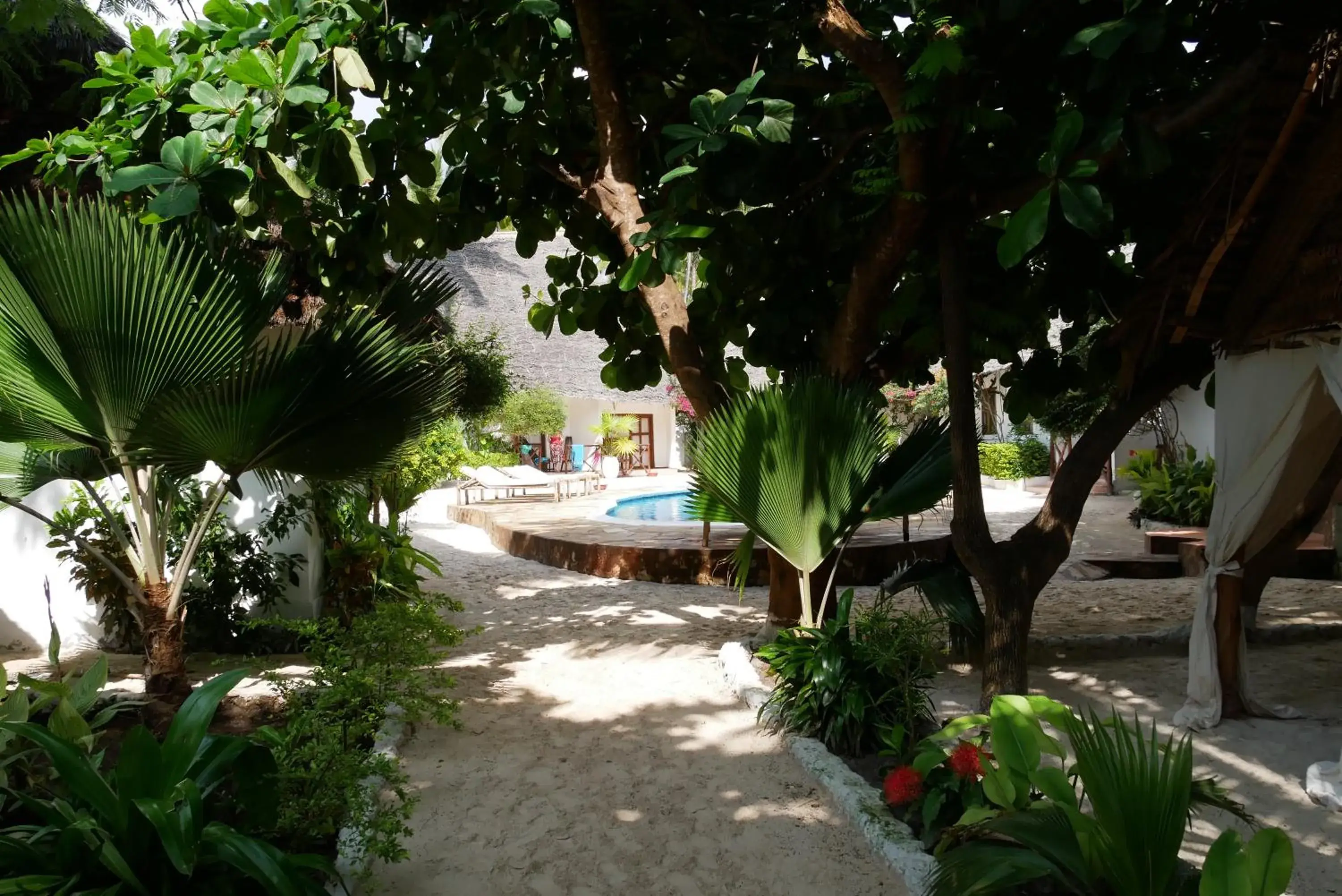 Garden, Swimming Pool in Sea View Lodge Boutique Hotel