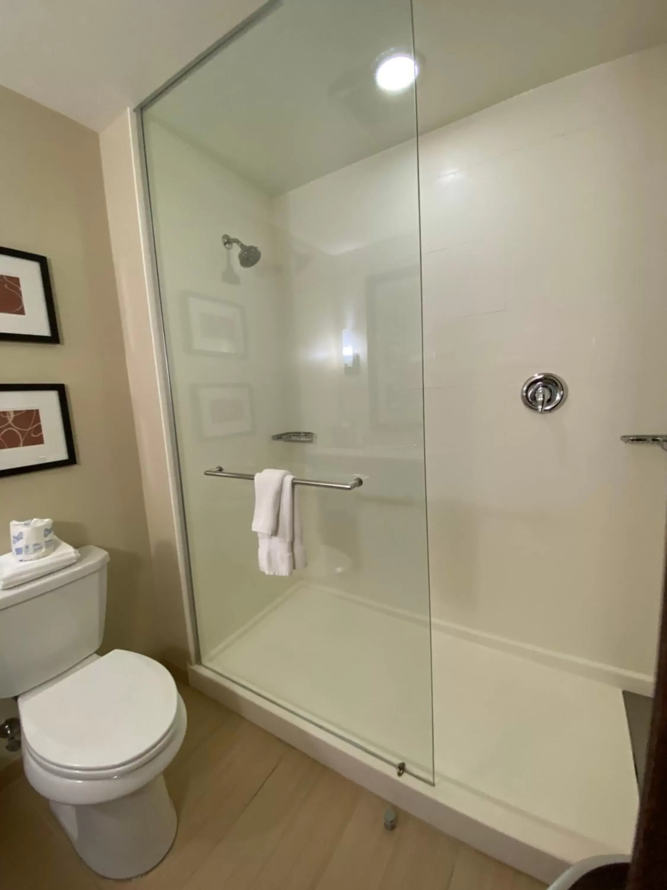 Bathroom in Comfort Suites Manheim - Lancaster