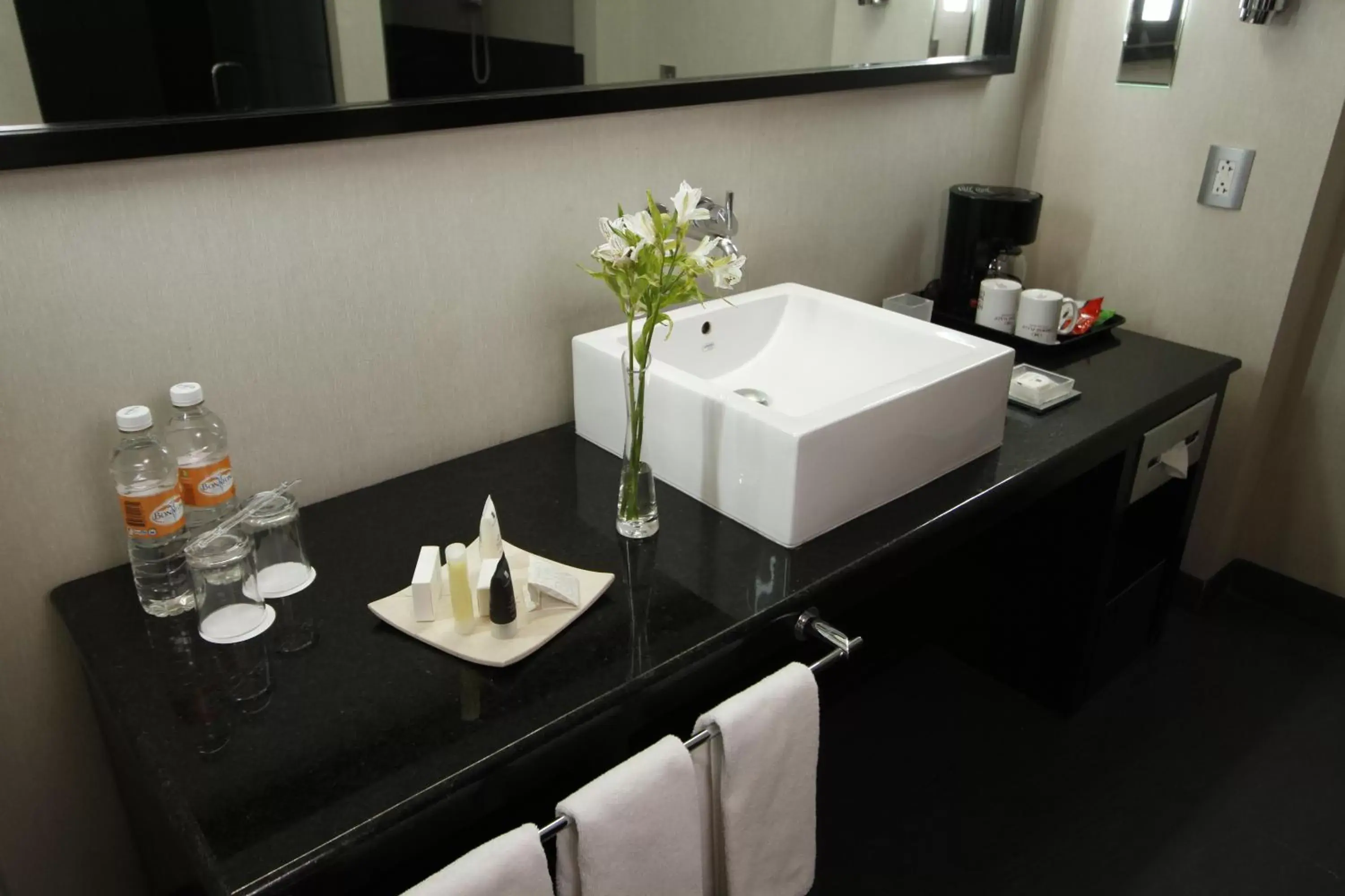 Toilet, Bathroom in Crowne Plaza Toluca - Lancaster, an IHG Hotel