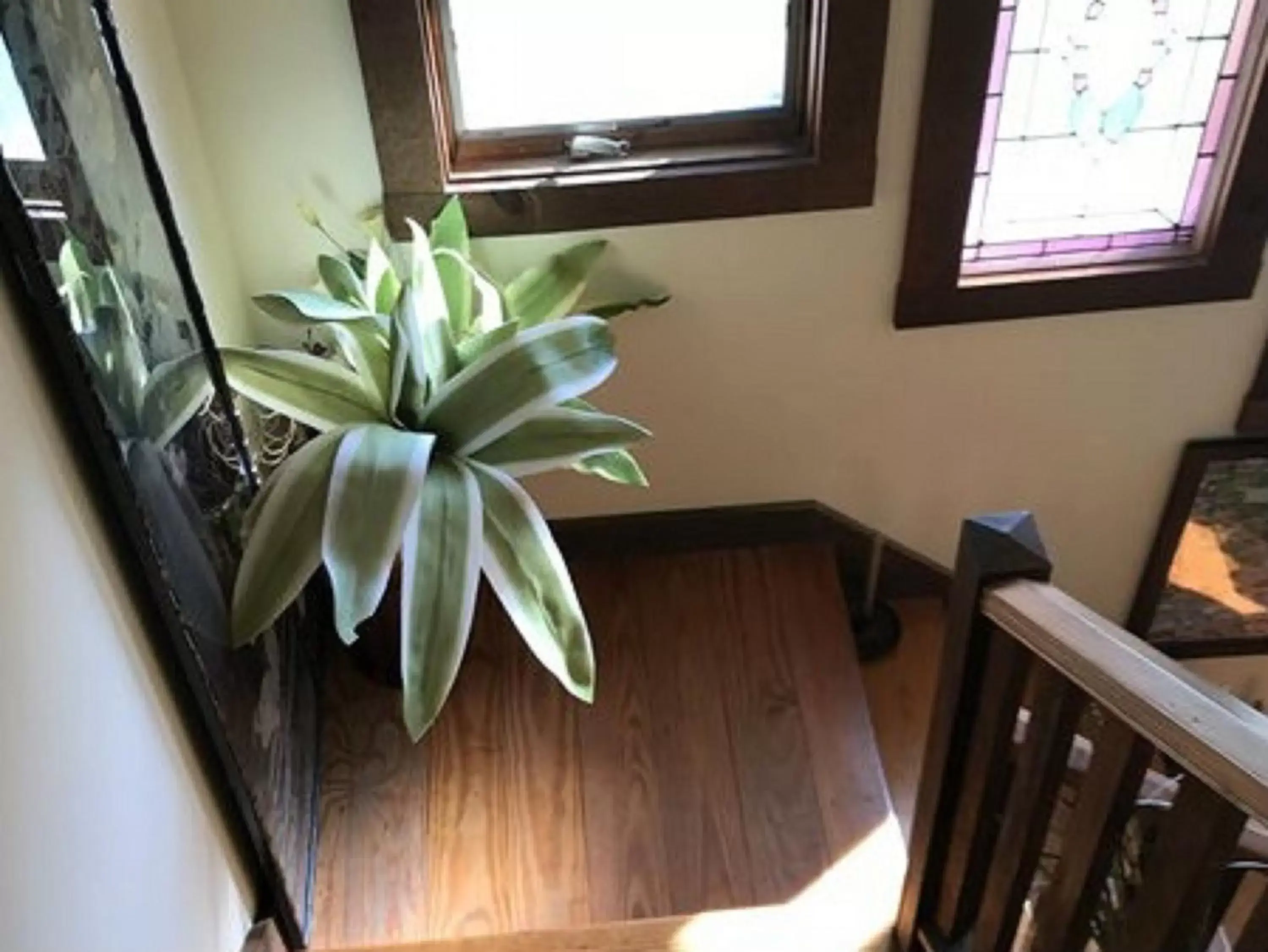 Lobby or reception in Gardenview Bed and Breakfast Lobby or reception in Gardenview Bed and Breakfast