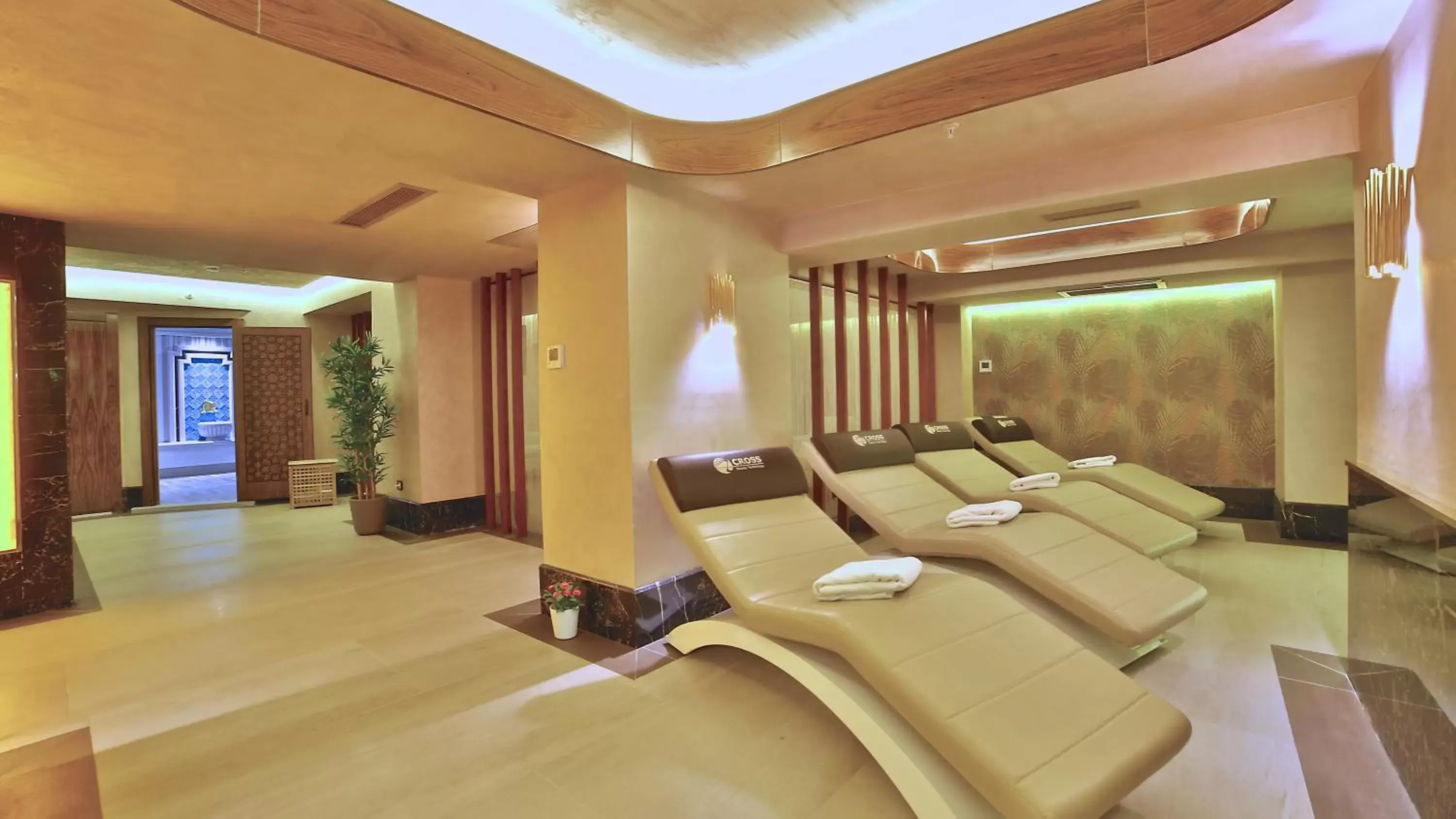 Spa and wellness centre/facilities in Beethoven Premium Hotel