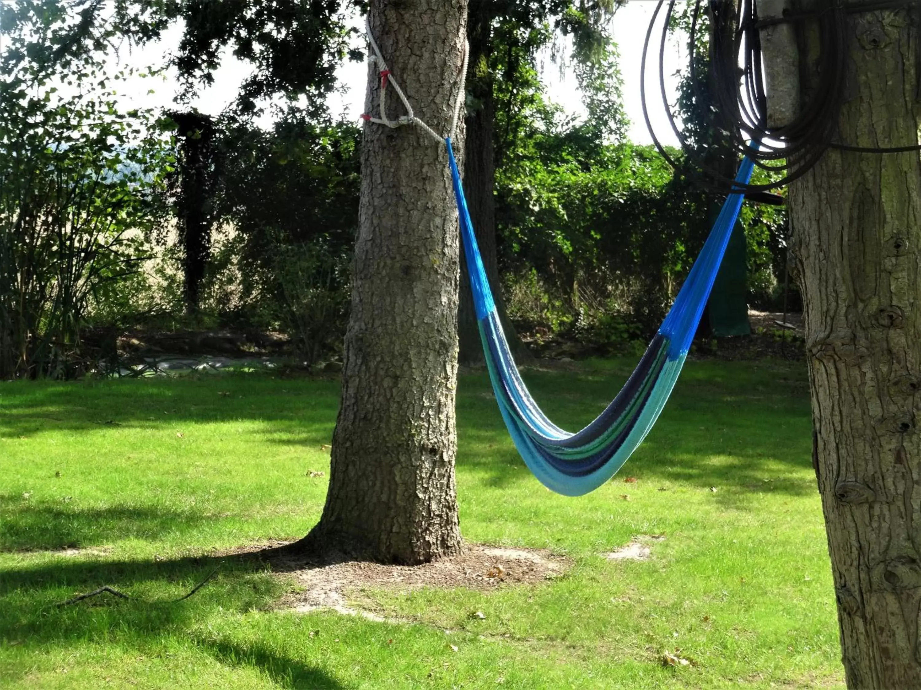 Garden in Villa La Clef Des Champs