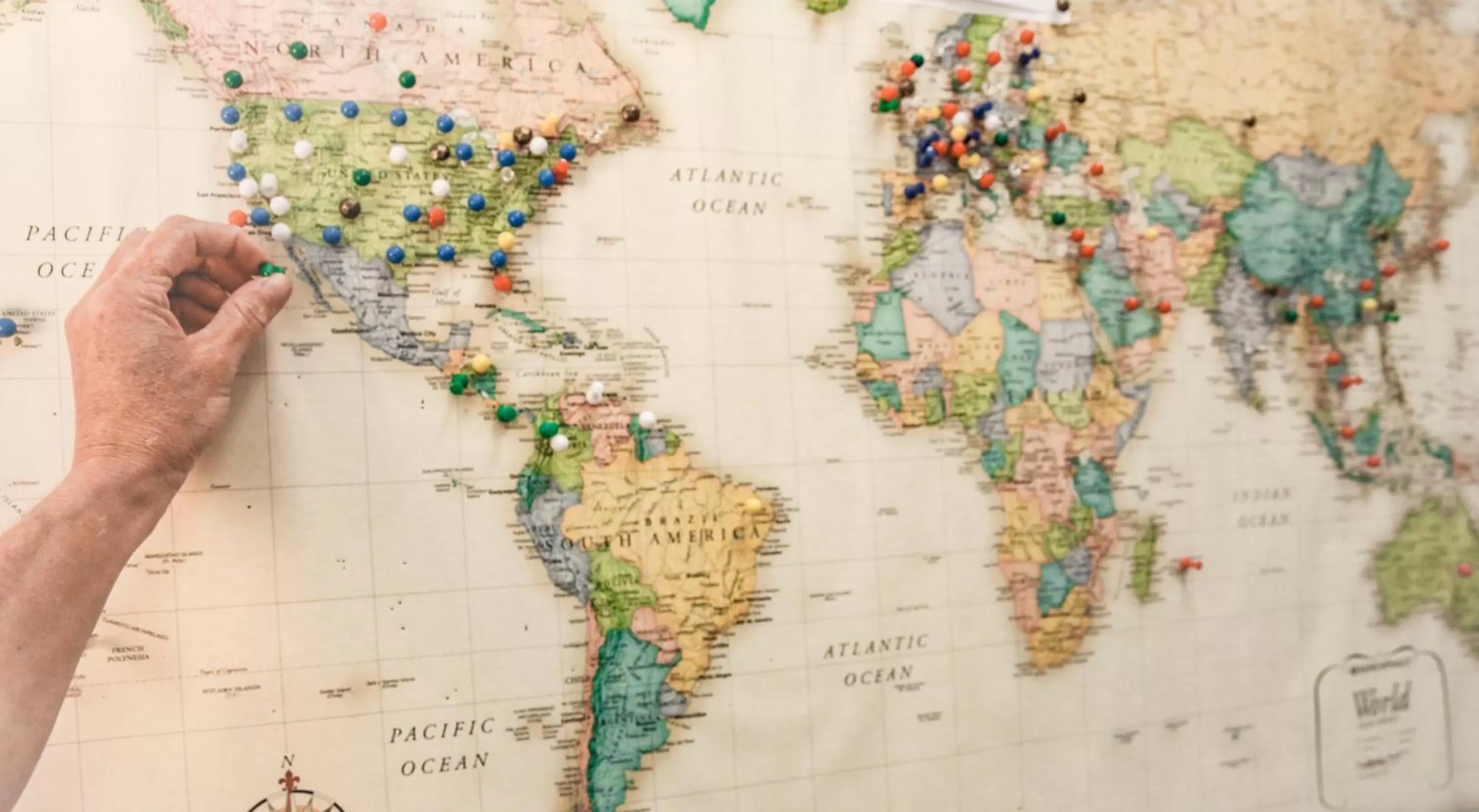 Decorative detail in The Eden House Vineyard