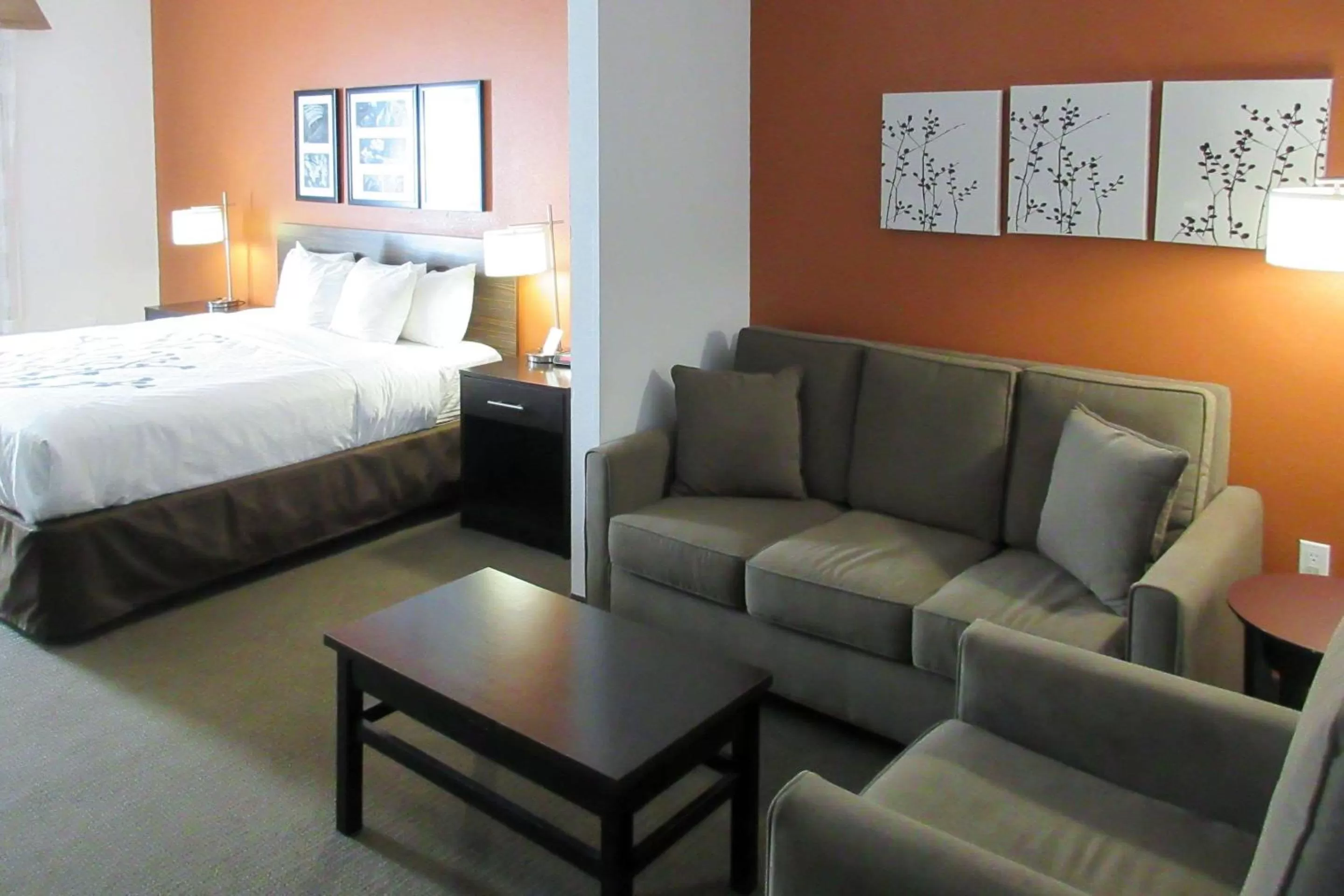 Photo of the whole room, Bed in Sleep Inn & Suites Ft Lauderdale International Airport