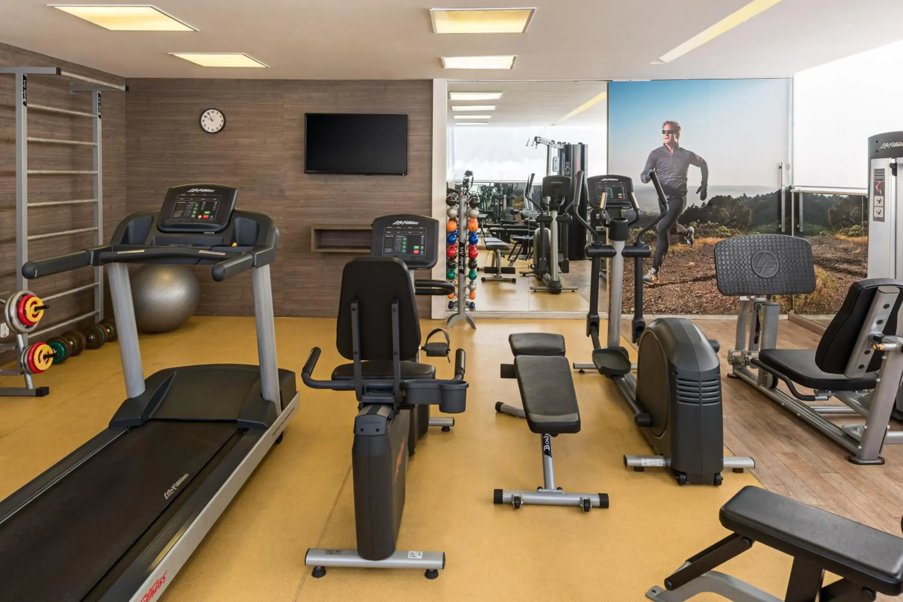 Fitness centre/facilities, Fitness Center/Facilities in Mercure Belo Horizonte Savassi