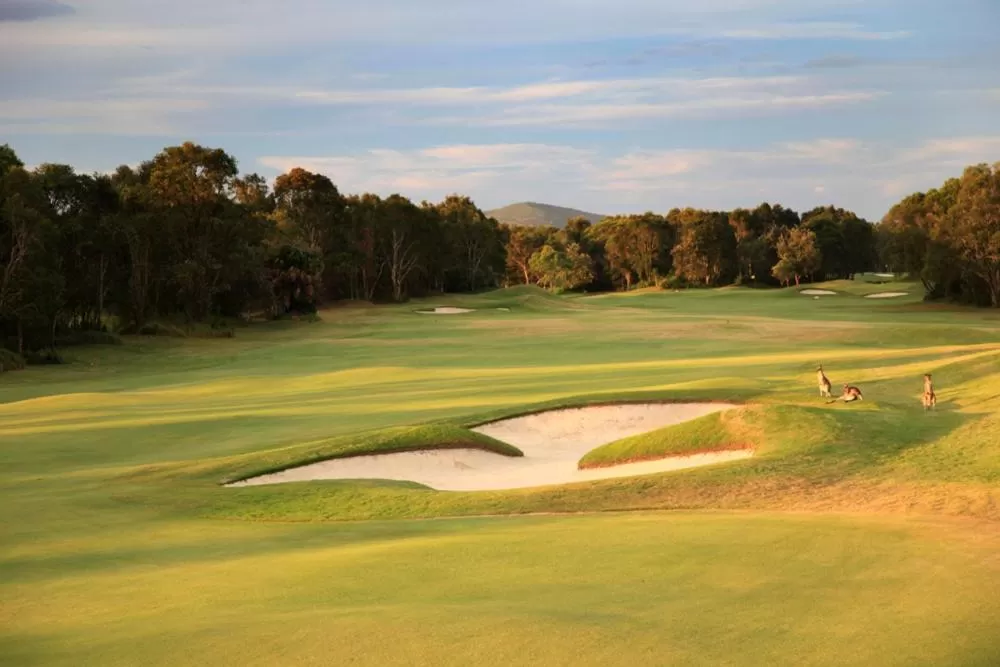 Golfcourse, Golf in Magnolia Lane Apartments