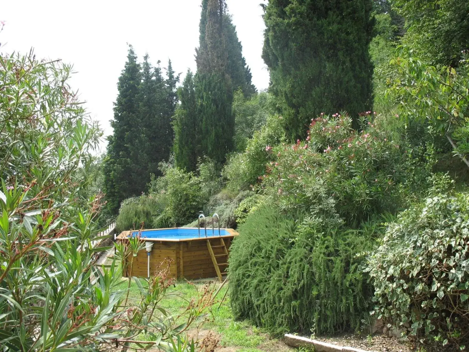 Garden view in Residence Uliveto