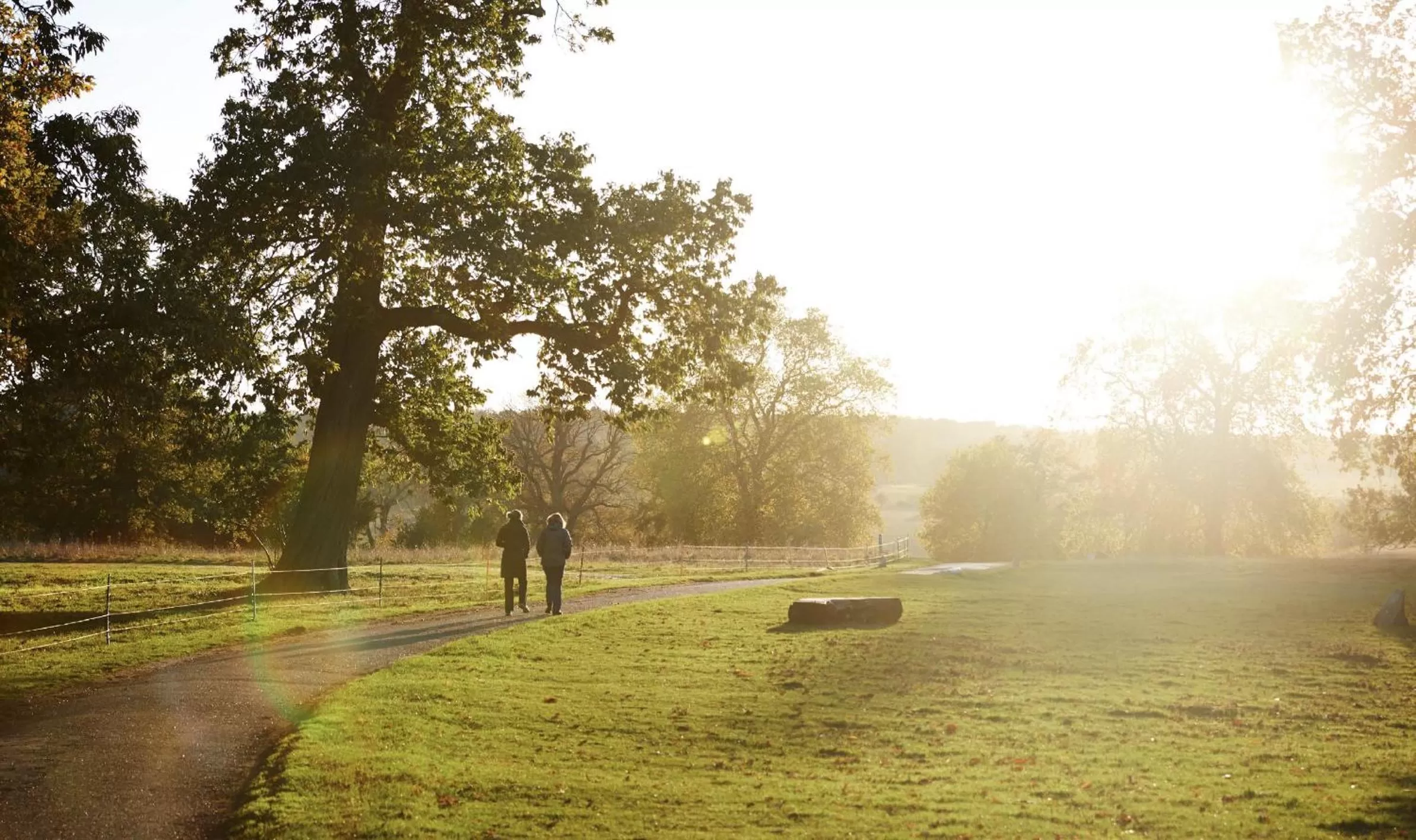 Day in The Ickworth Hotel