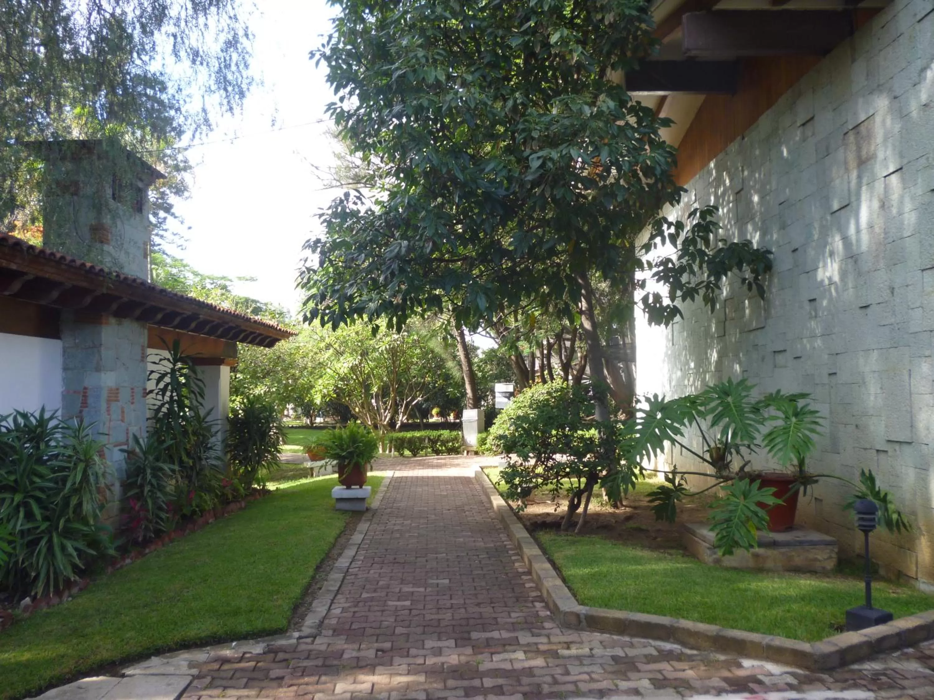 Garden in Mision De Los Angeles