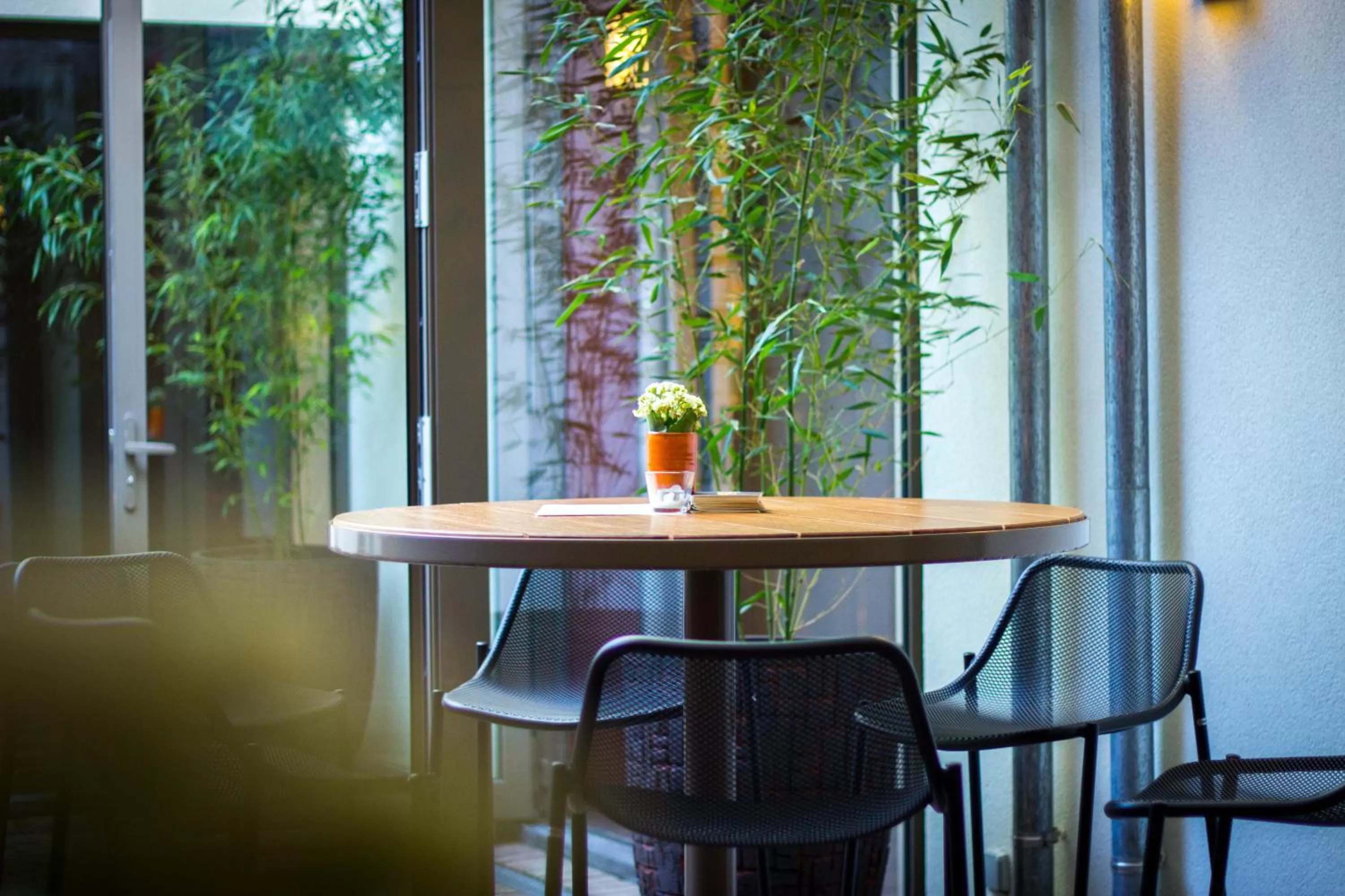 Patio in Hotel Marcel