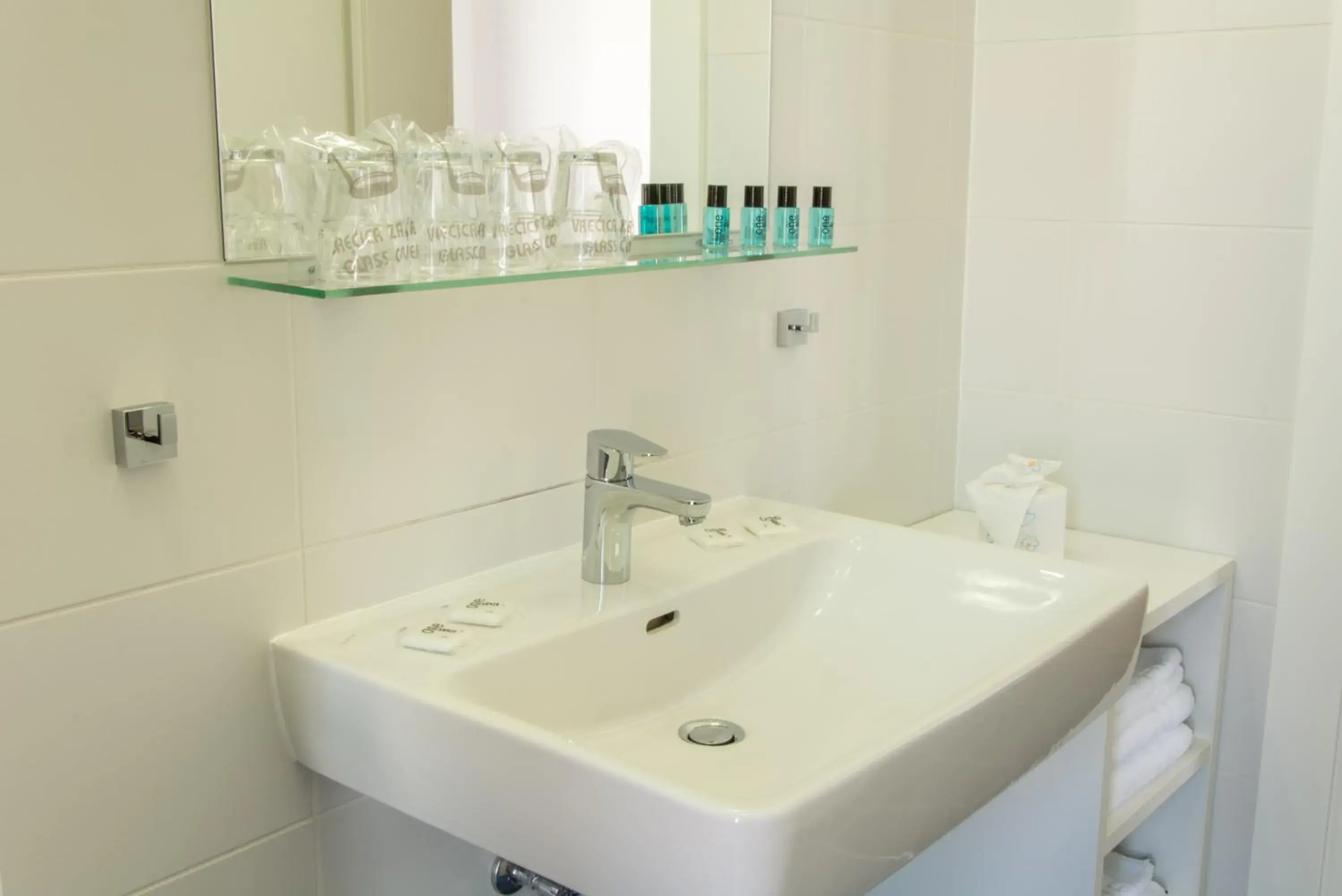 Decorative detail, Bathroom in Hotel Delminivm